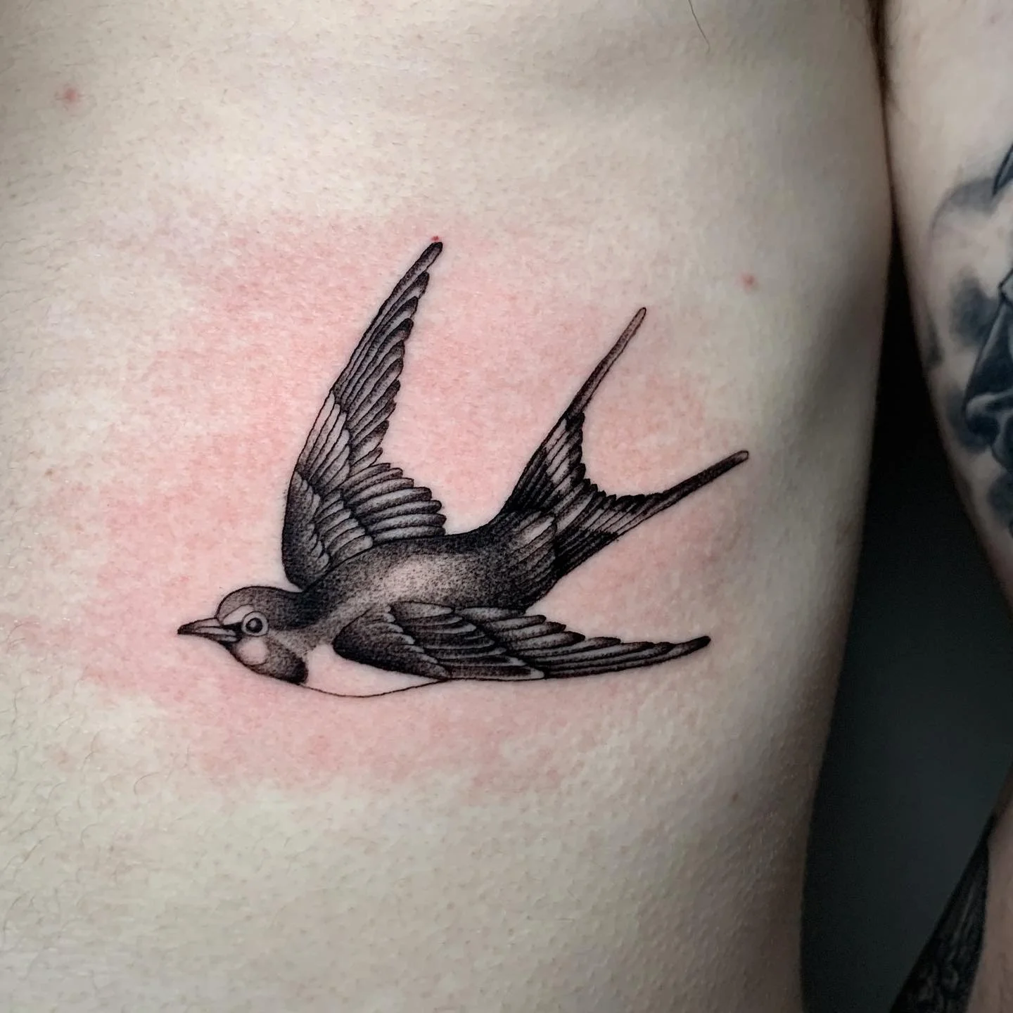 Had a blast tattooing these matching swallows for Jarlath, thanks so much man! 

@cloakanddaggerlondon