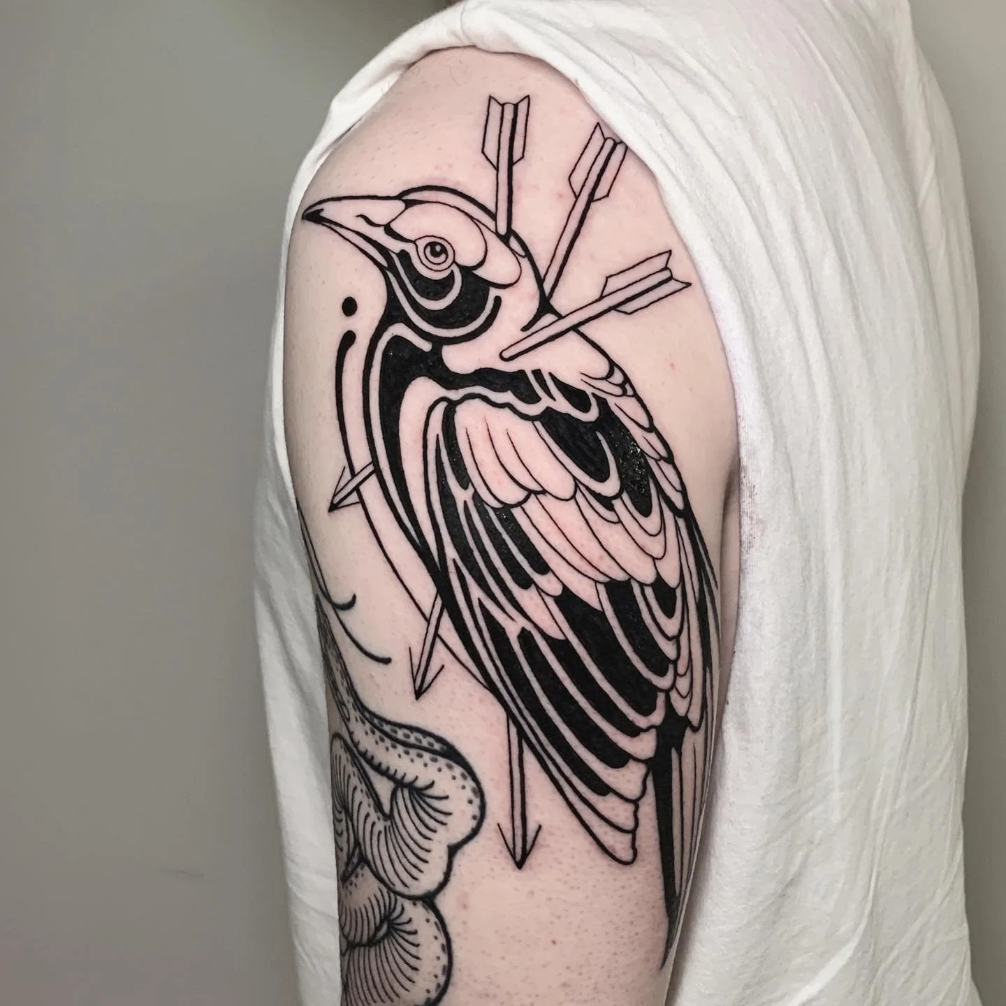 Australian magpie for @itstimjacobs 🖤

Thanks for letting me go super bold to fit in with your other work by the amazing @hellhabits 

@jaynedoetattoo