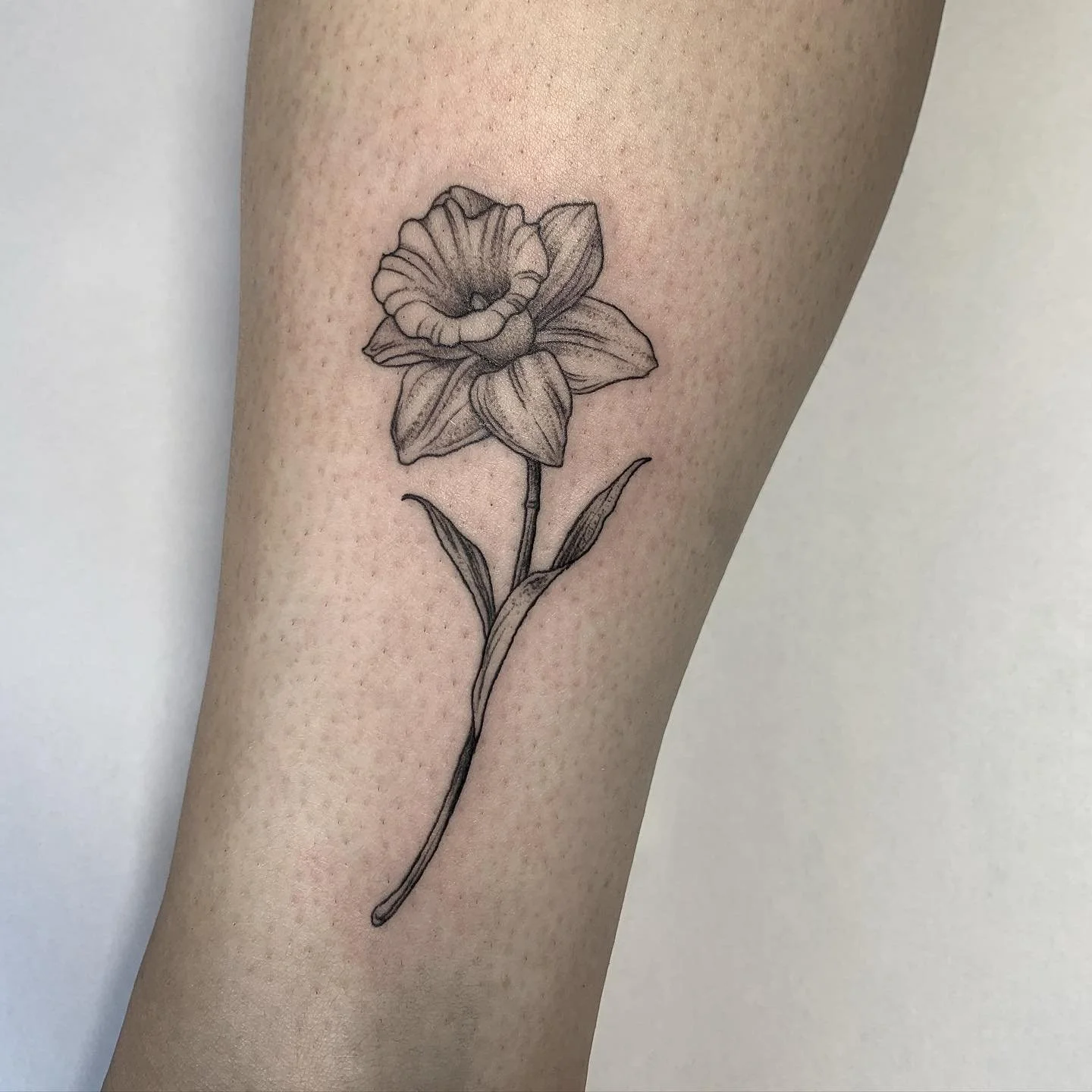 Tiny little daffodil on the ankle for Claire 🖤
@jaynedoetattoo