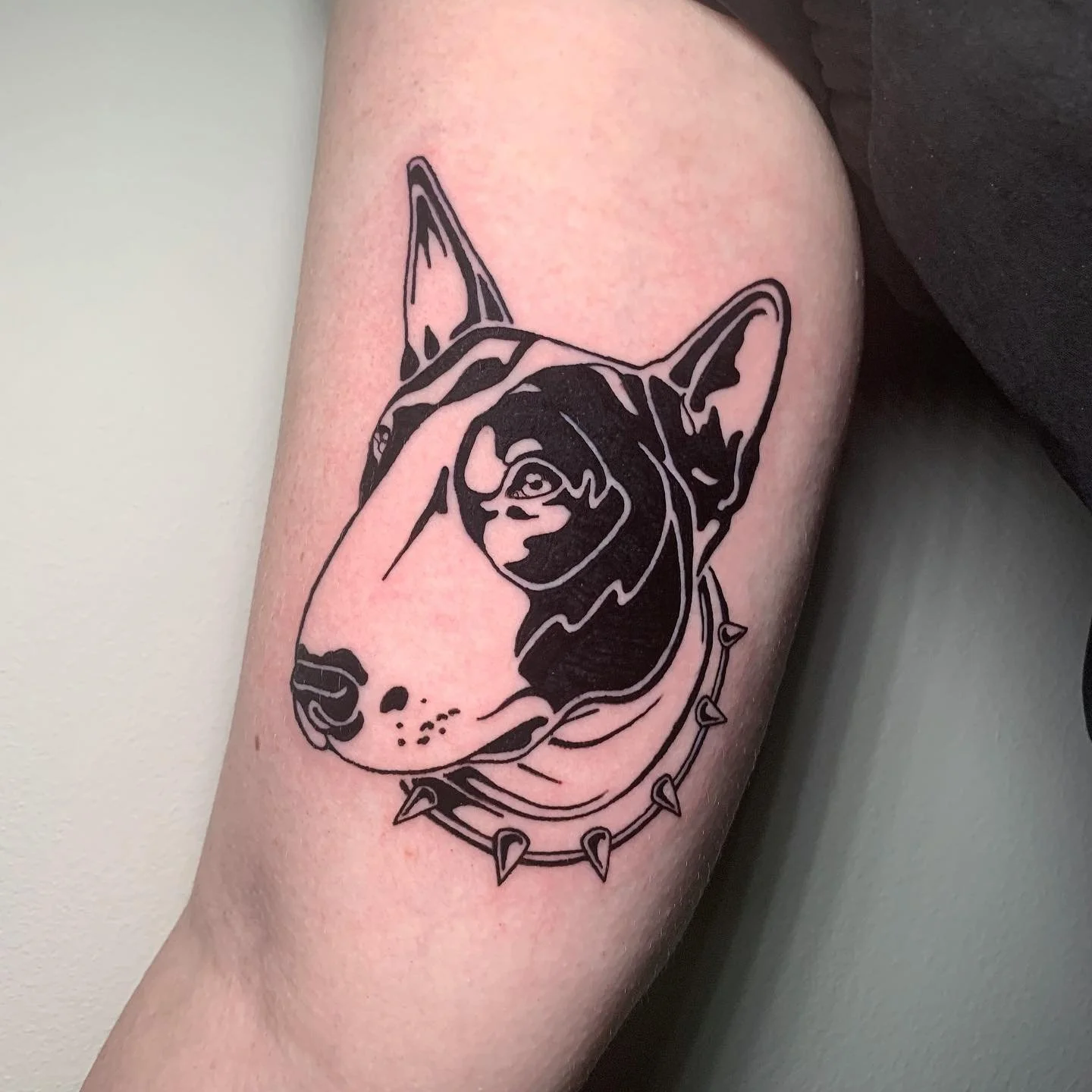Thanks Alexis for making my day and getting this lovely piglet dog. Not my usual style but I had a blast, bull terriers are the best! 🖤 
@jaynedoetattoo
