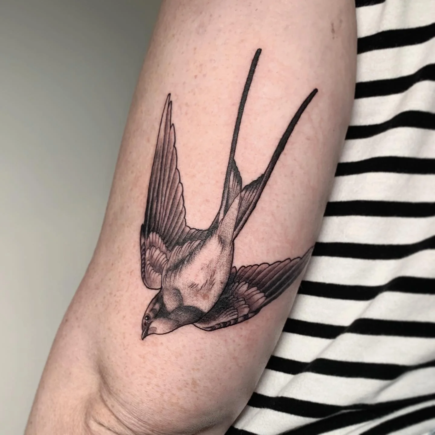 A cute little swallow on the back of the arm for Alexis! Thanks for letting me tattoo a black and grey version of one of my available designs 🖤

@jaynedoetattoo
