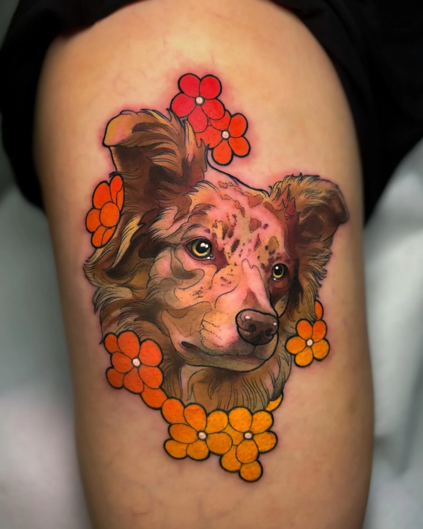 Thrilled to create this special tribute for Kirsty and her beautiful dog, Juno! 🐾🌅 

Juno&rsquo;s one-of-a-kind red merle coat, with all those warm, rusty tones, made this piece such a joy to bring to life. We really emphasized those rich colors to