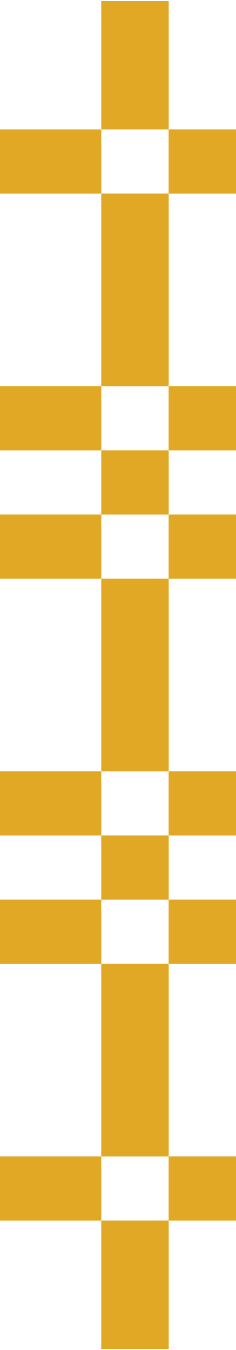 Elmina