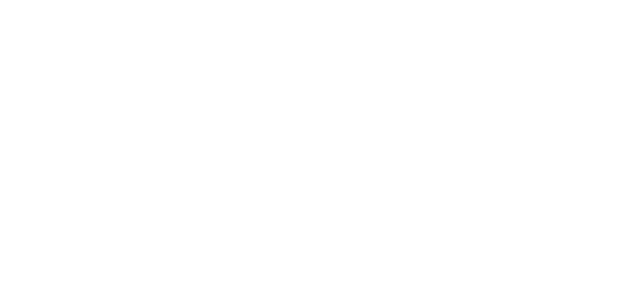 thunderwing.png
