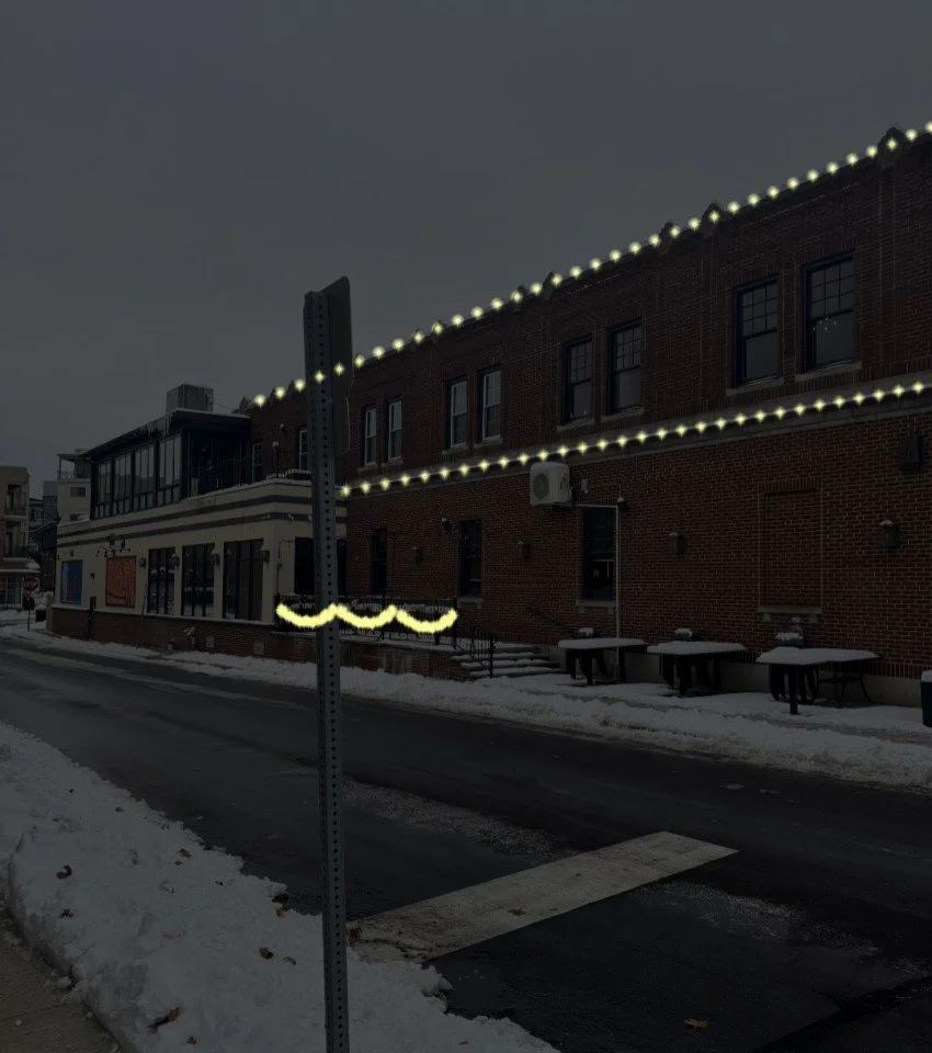 A two-story house decorated with white Christmas lights outlining the roof and windows at night. The house has black shutters, a front door with a wreath, and a garage door. The yard has bushes and trees also decorated with white lights, and a dark sky serves as the background.