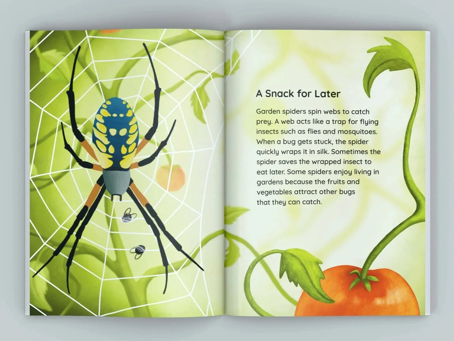 Illustrated Booklet