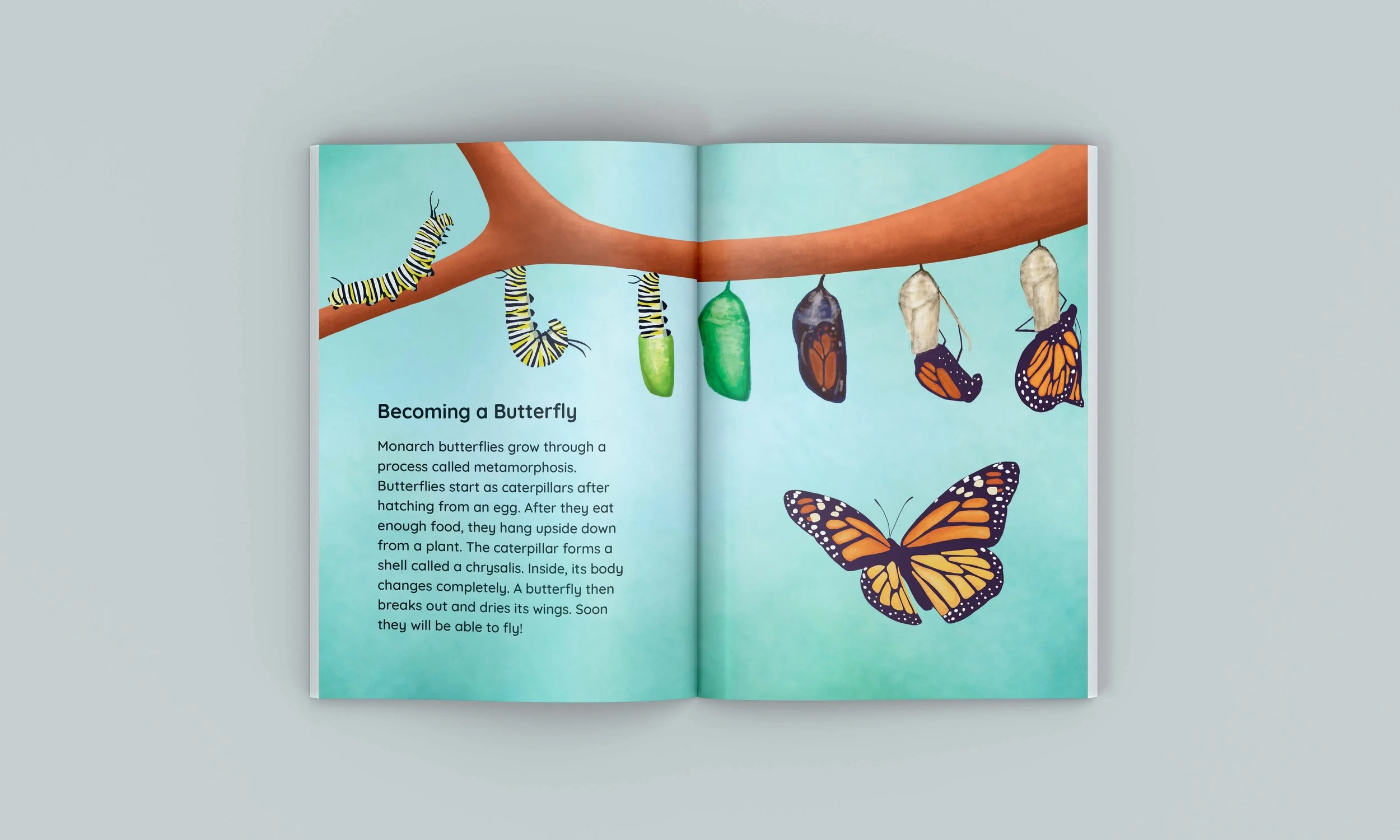 Becoming a Butterfly illustration