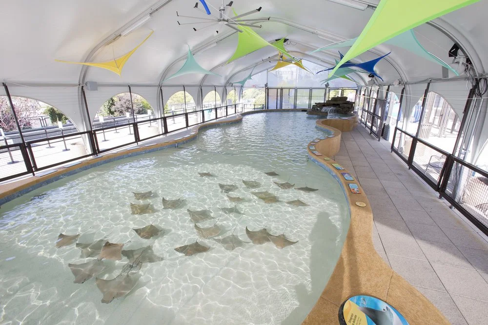 Pool Builder | Chicago, IL | Barrington Pools — Barrington Pools