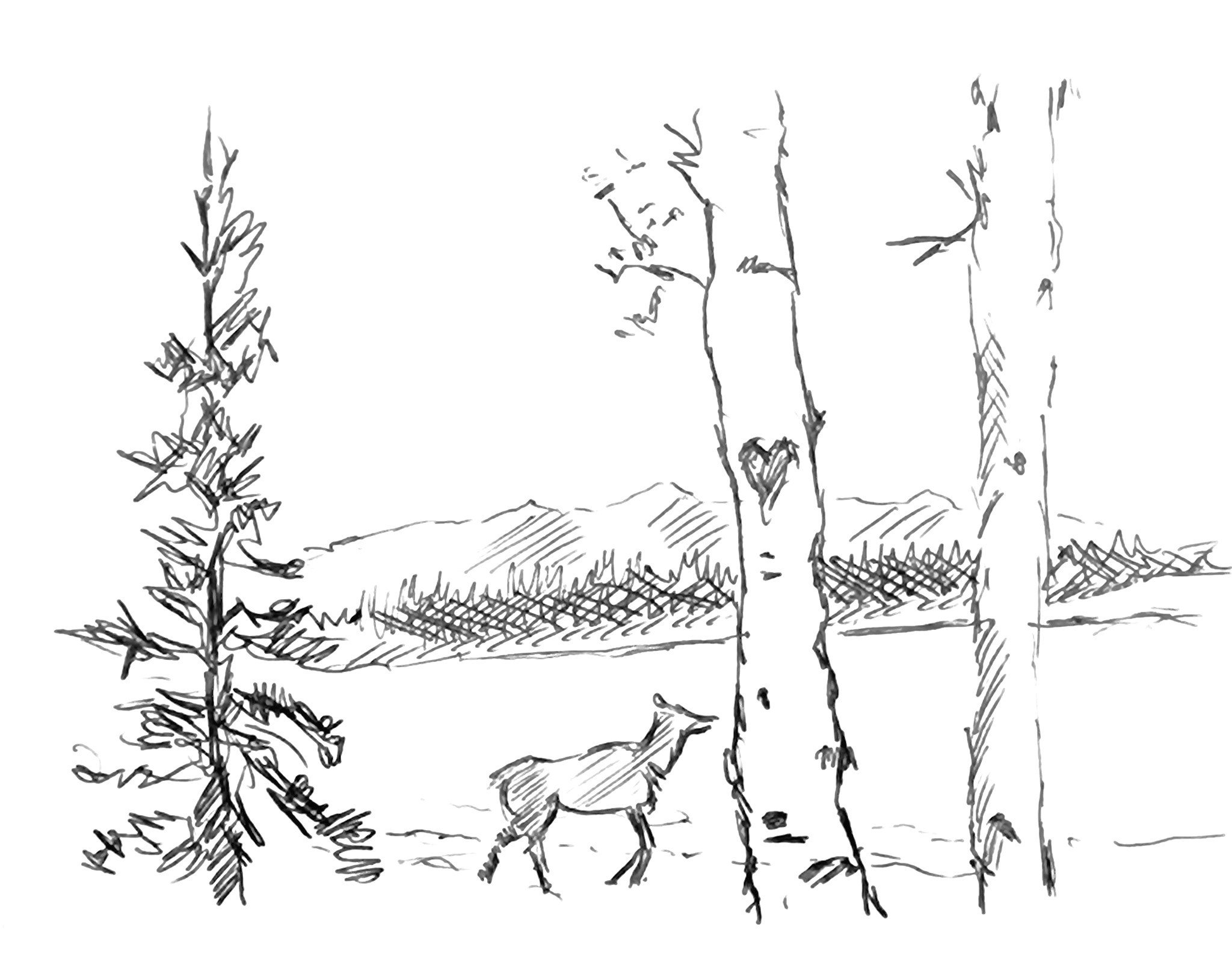LotB Cover 2.jpg