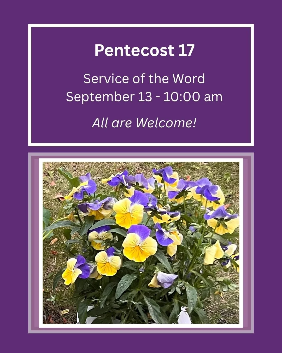 Pentecost 17.jpg