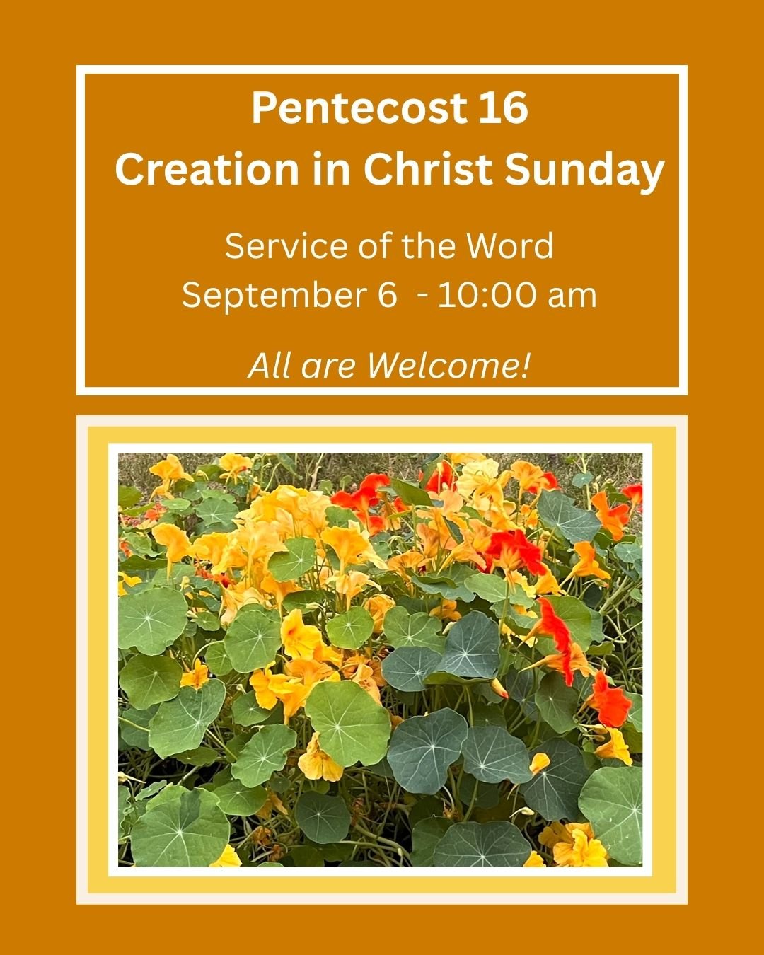 Pentecost 16.jpg