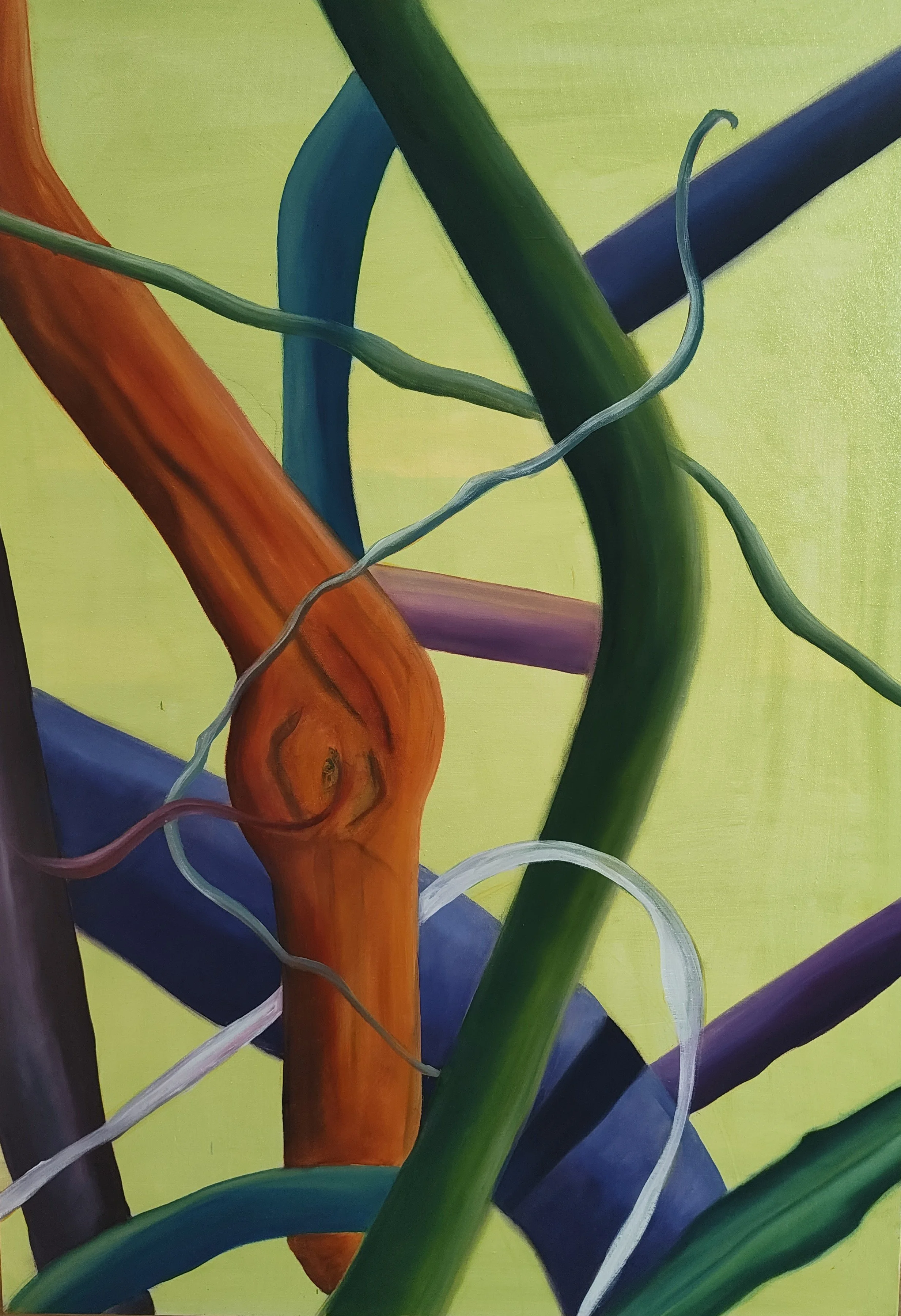 IMG_20260326_080137330 (1).jpg