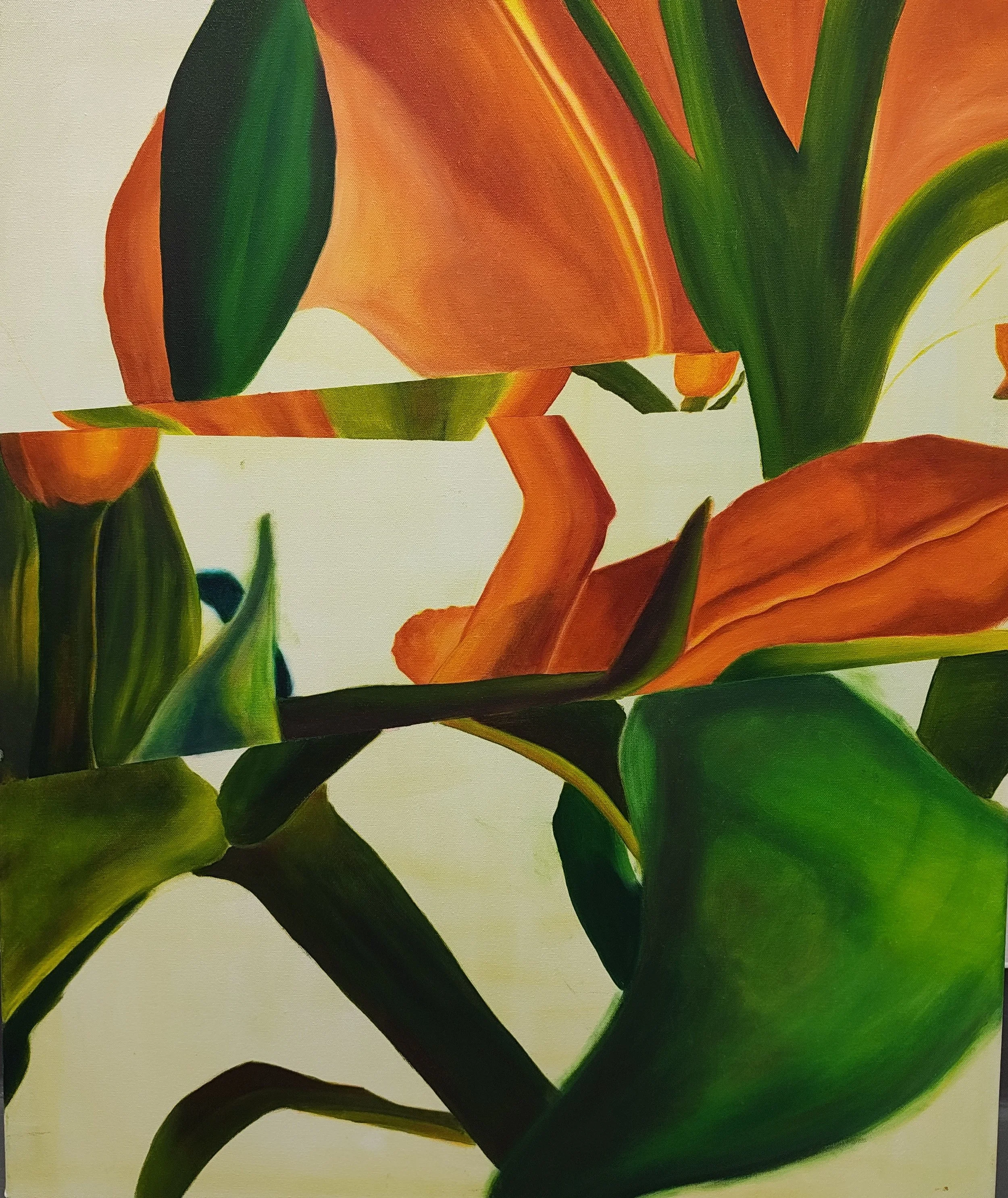 IMG_20260319_120043493 (1).jpg