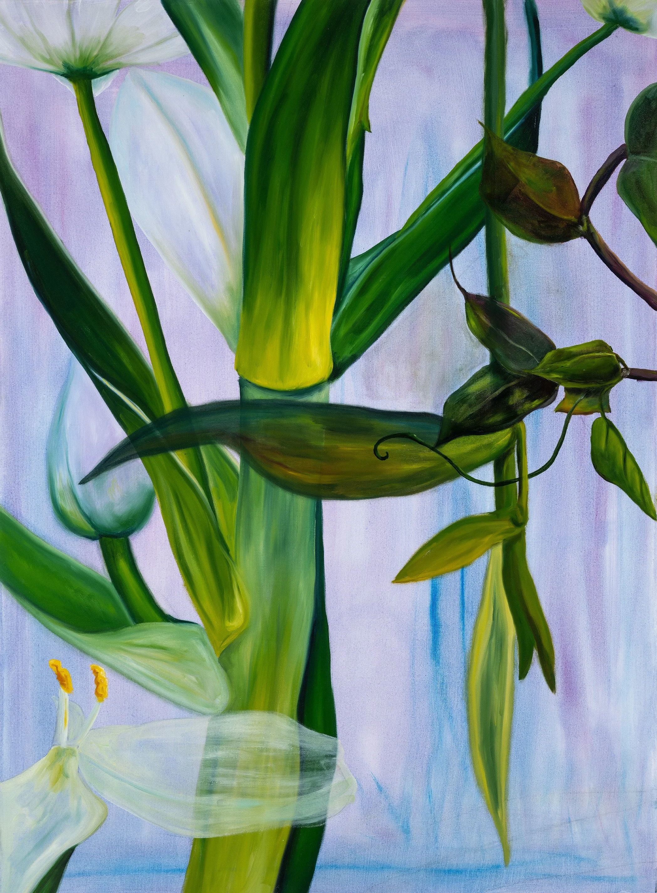 Shadows and Silent Arguments, 2025, oil on canvas, 76 x 107cm
