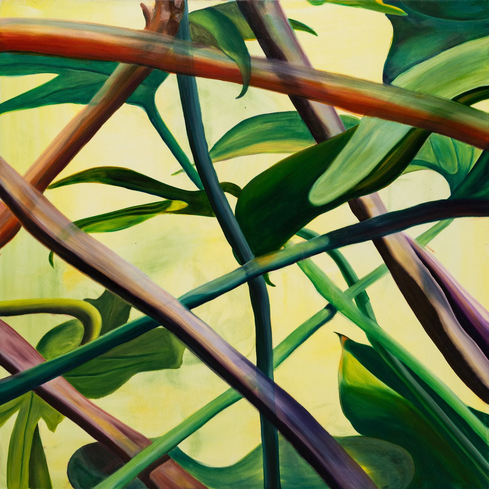 I am Not Sure, 2026, oil on canvas, 91x91cm