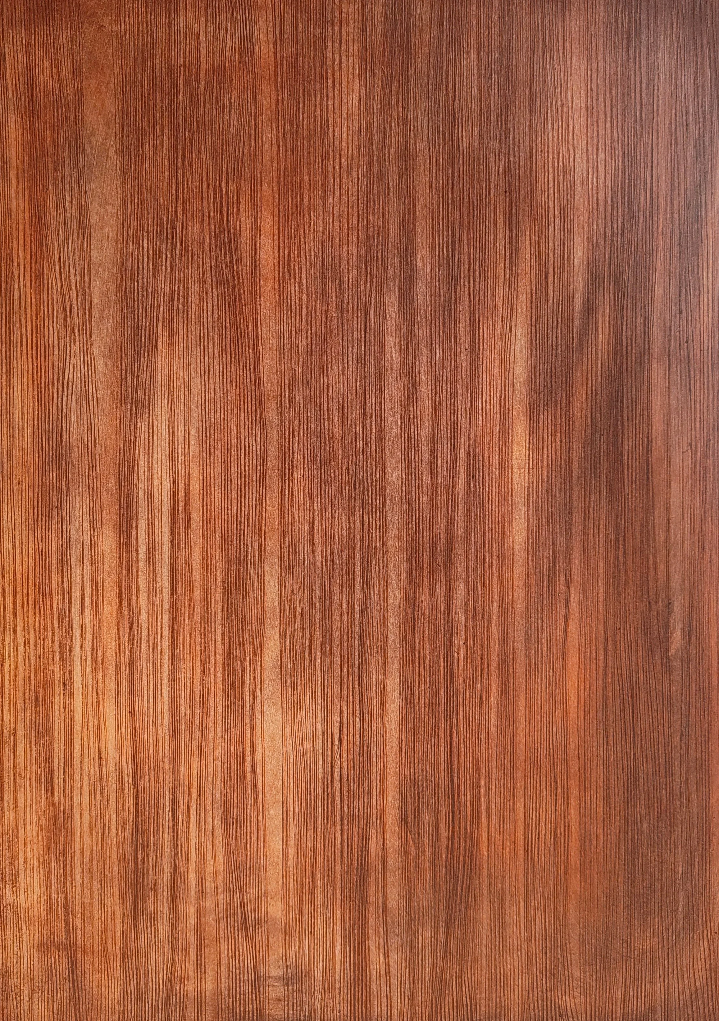 Martina Latimer_28x40cm.jpg