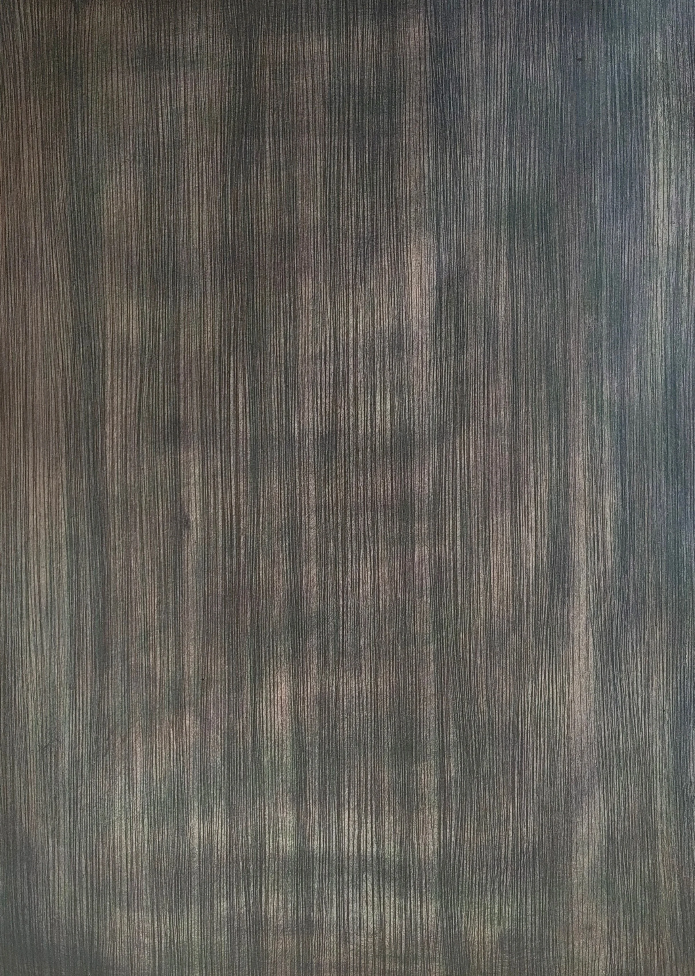 Martina Latimer_28x40cm (2).jpg