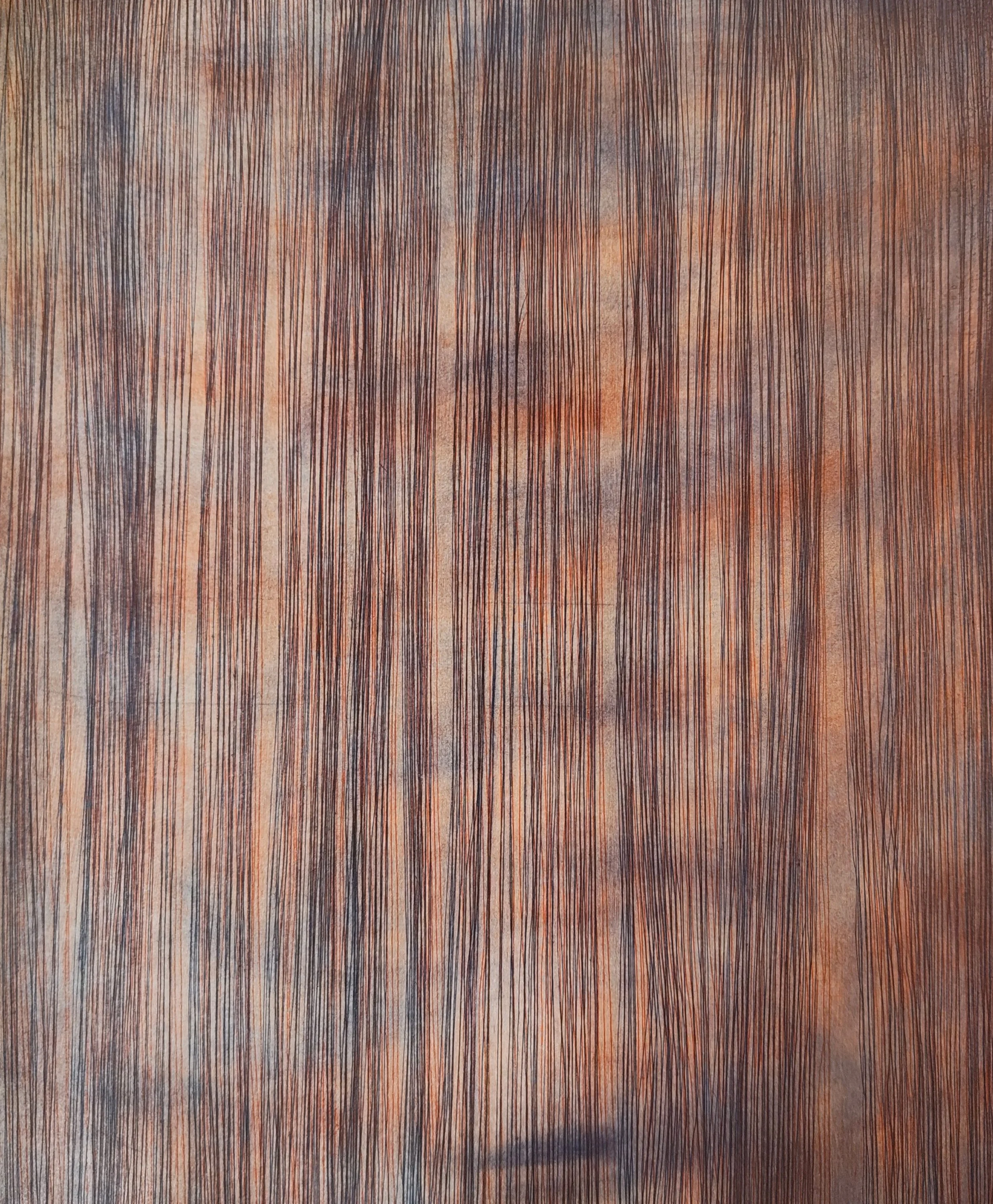 Martina Latimer_28x35cm (2).jpg
