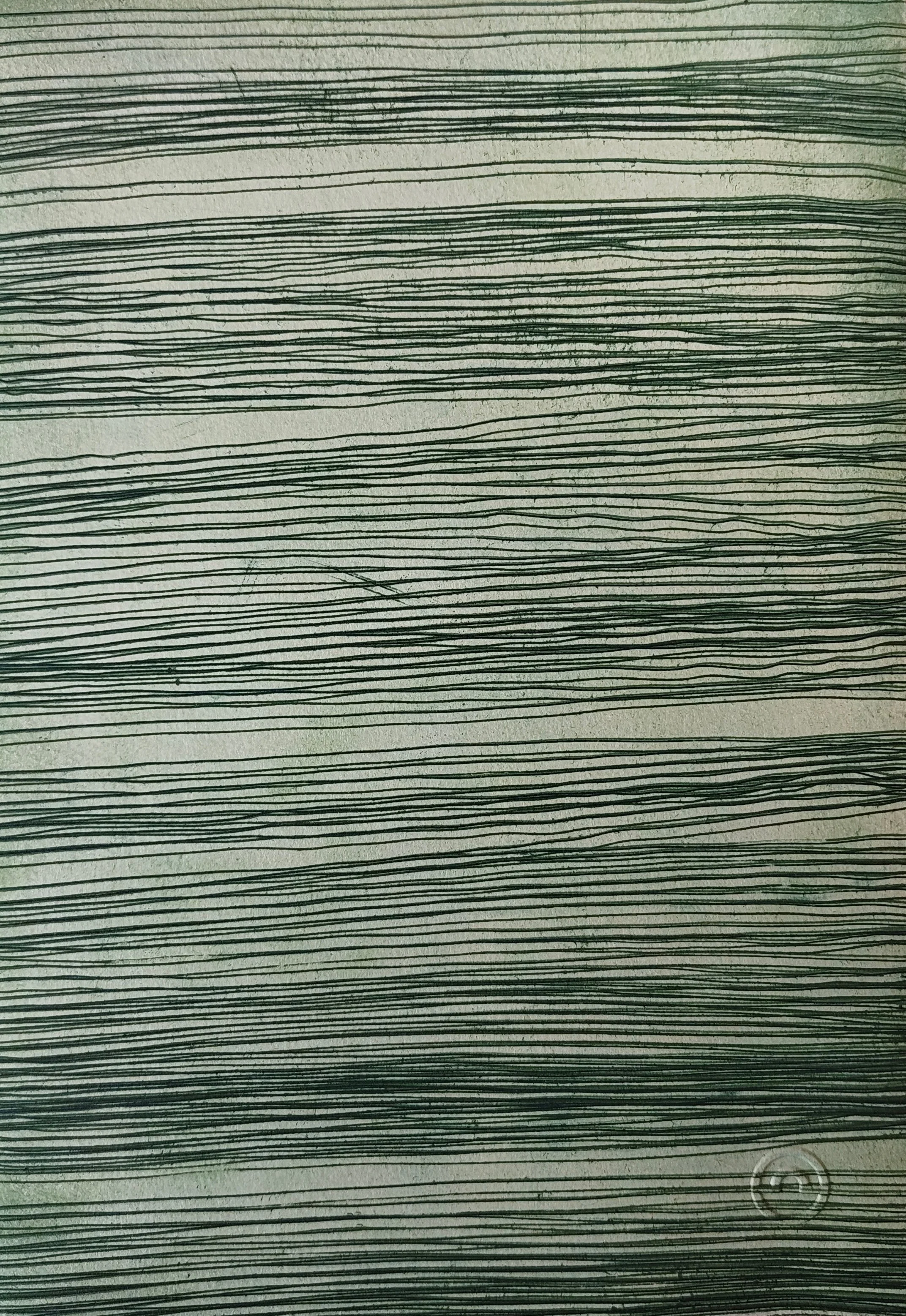 Martina Latimer_20x28cm (3).jpg