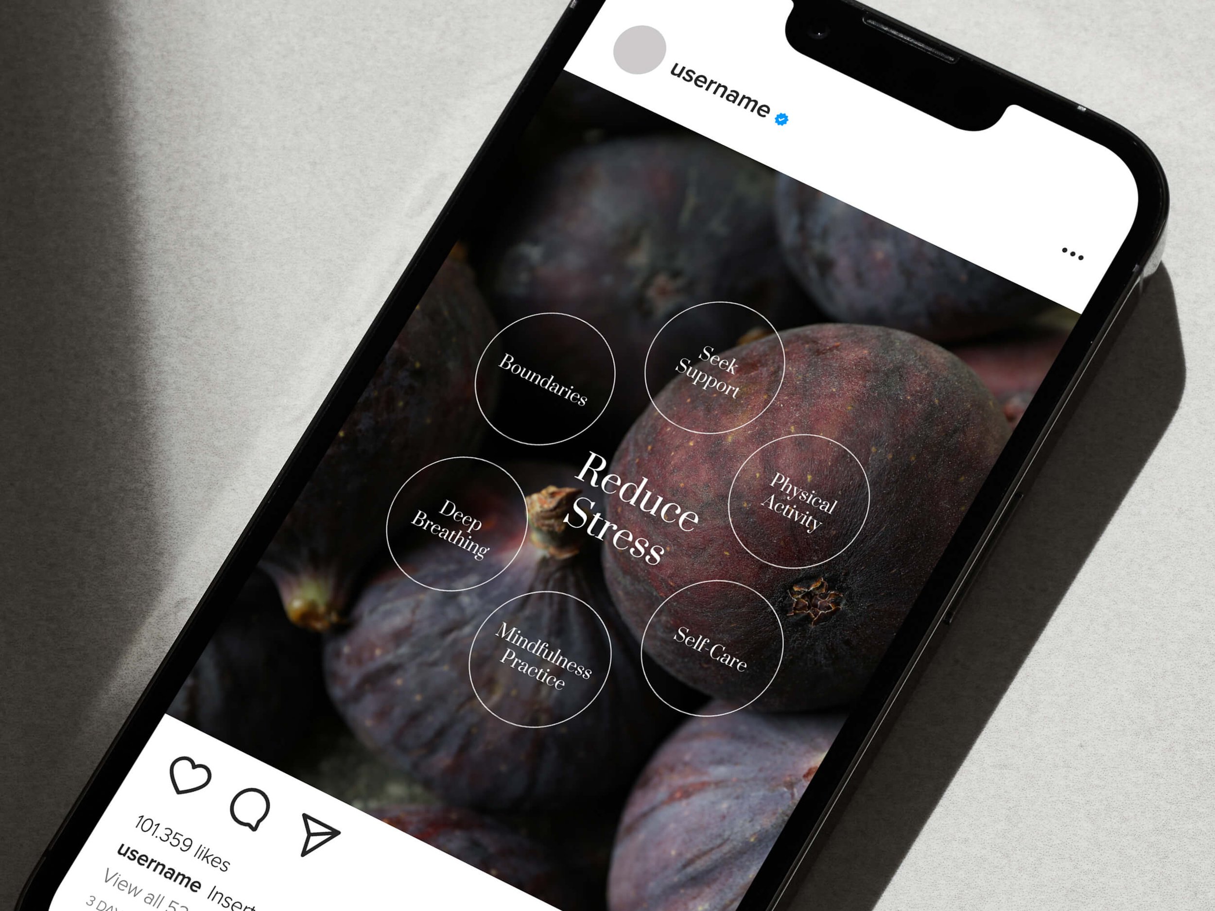 Designed Canva Template for Wellness Brands