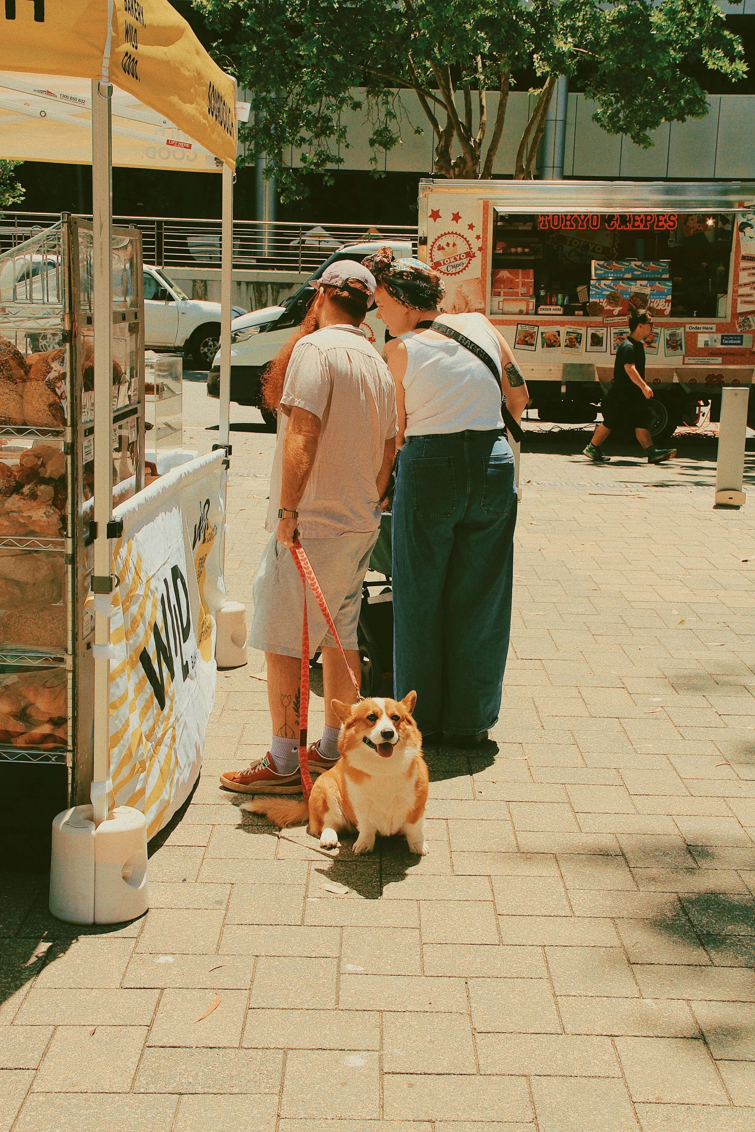 Photo 31-8-2024, 10 58 43 pm (2).jpg