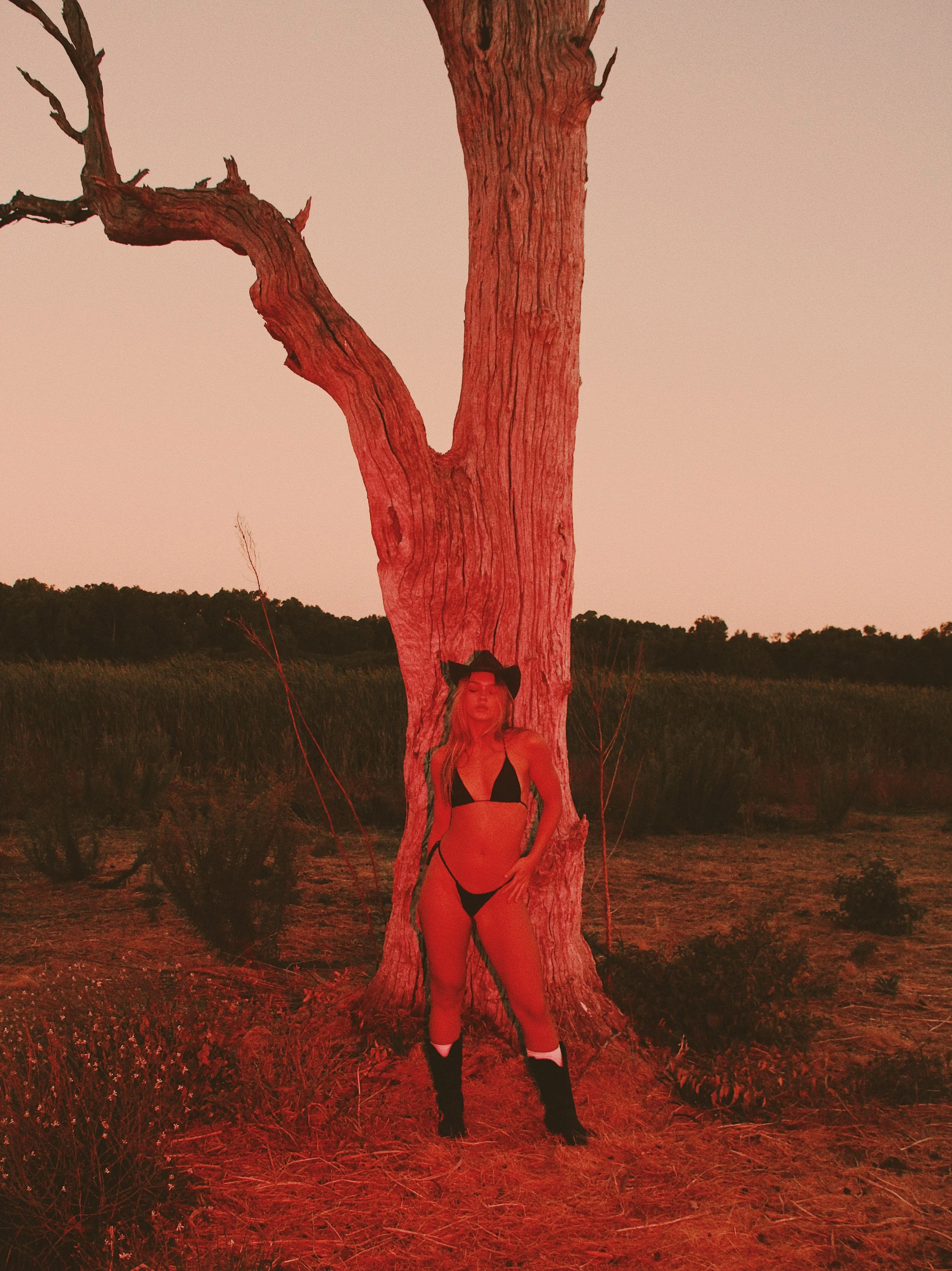 Photo 18-1-2026, 5 43 58 am.jpg