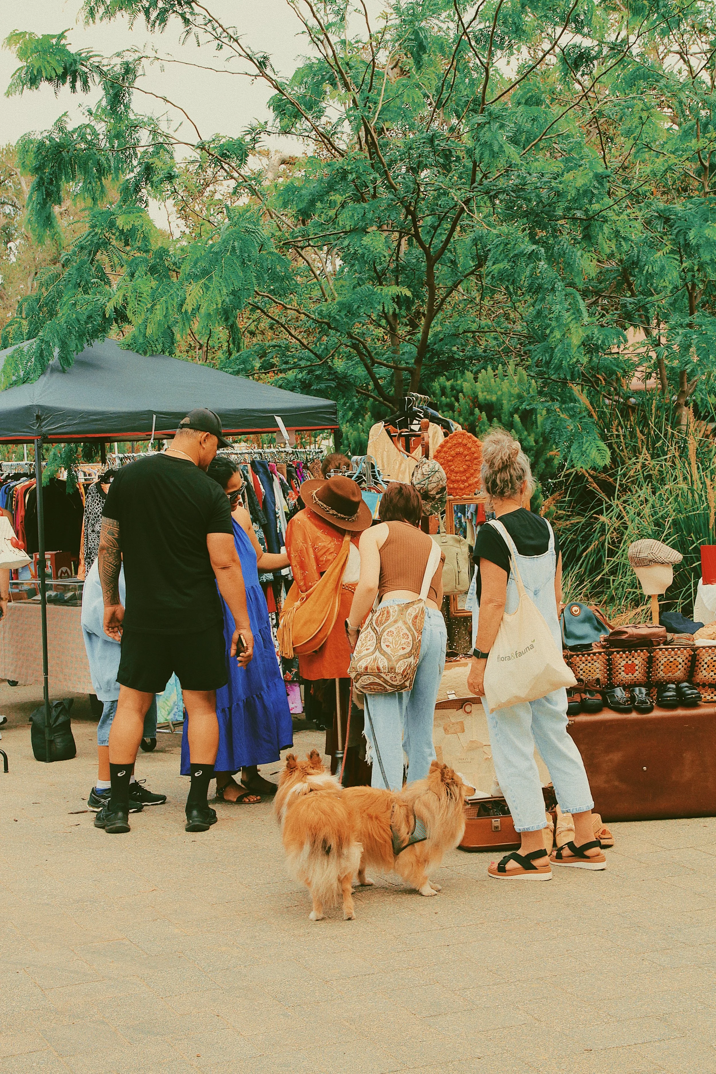 Photo 28-9-2024, 8 56 20 pm.jpg