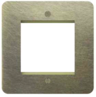 1 Gang 2 Module Plate