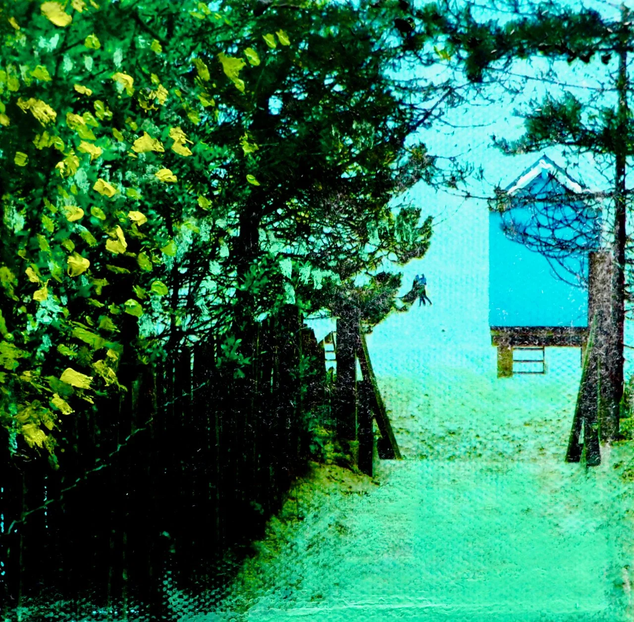 Through to the Beach