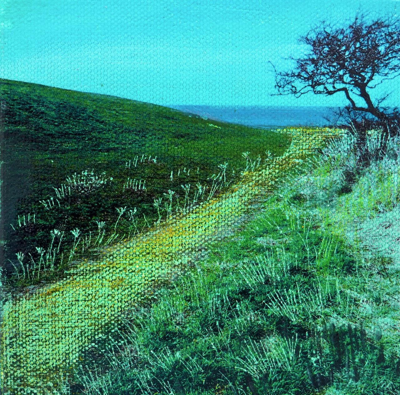 Path to the Sea.jpeg