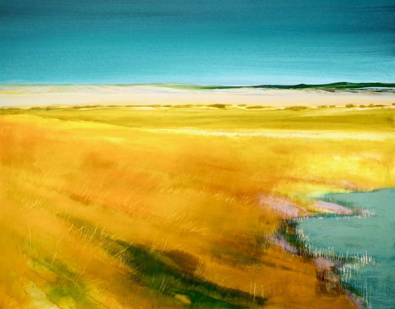 Field of Sunshine.jpeg