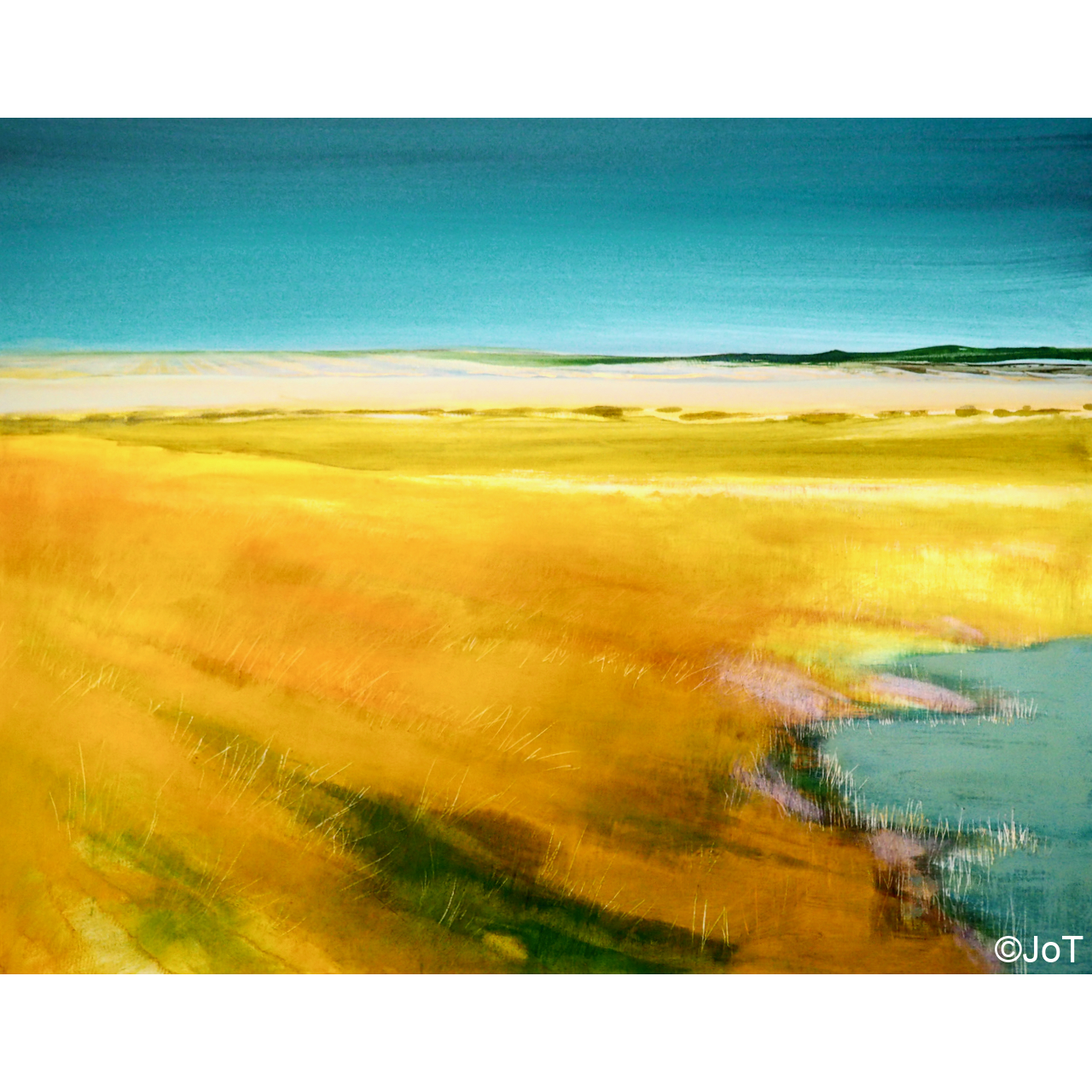 Field of Sunshine_pad.png