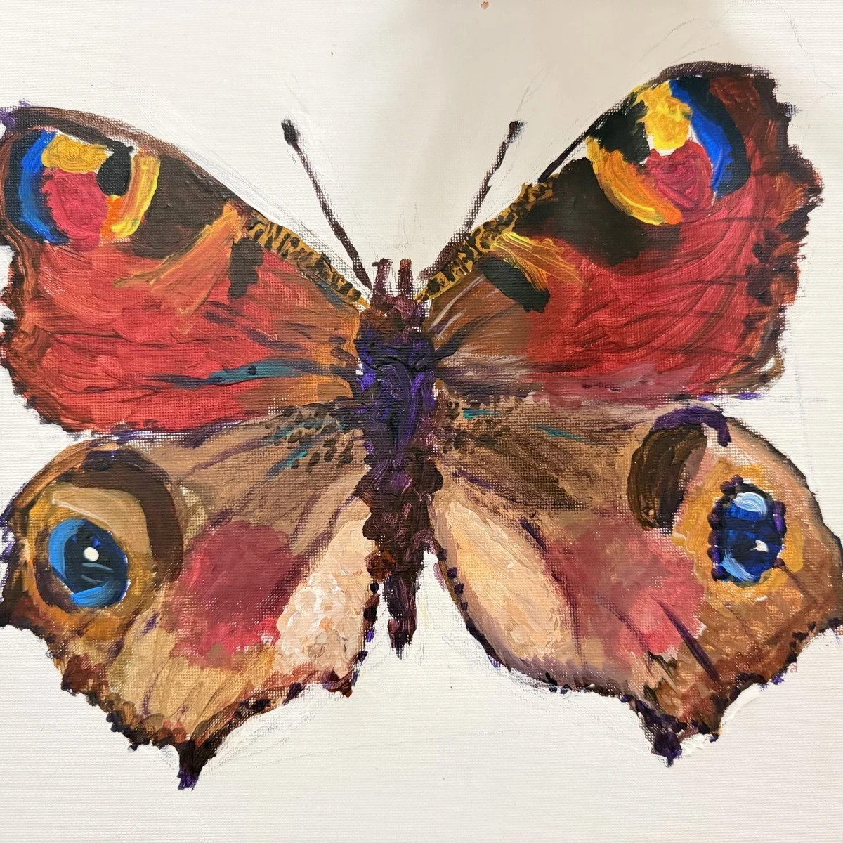 erw_schmetterling_quadrat.jpg