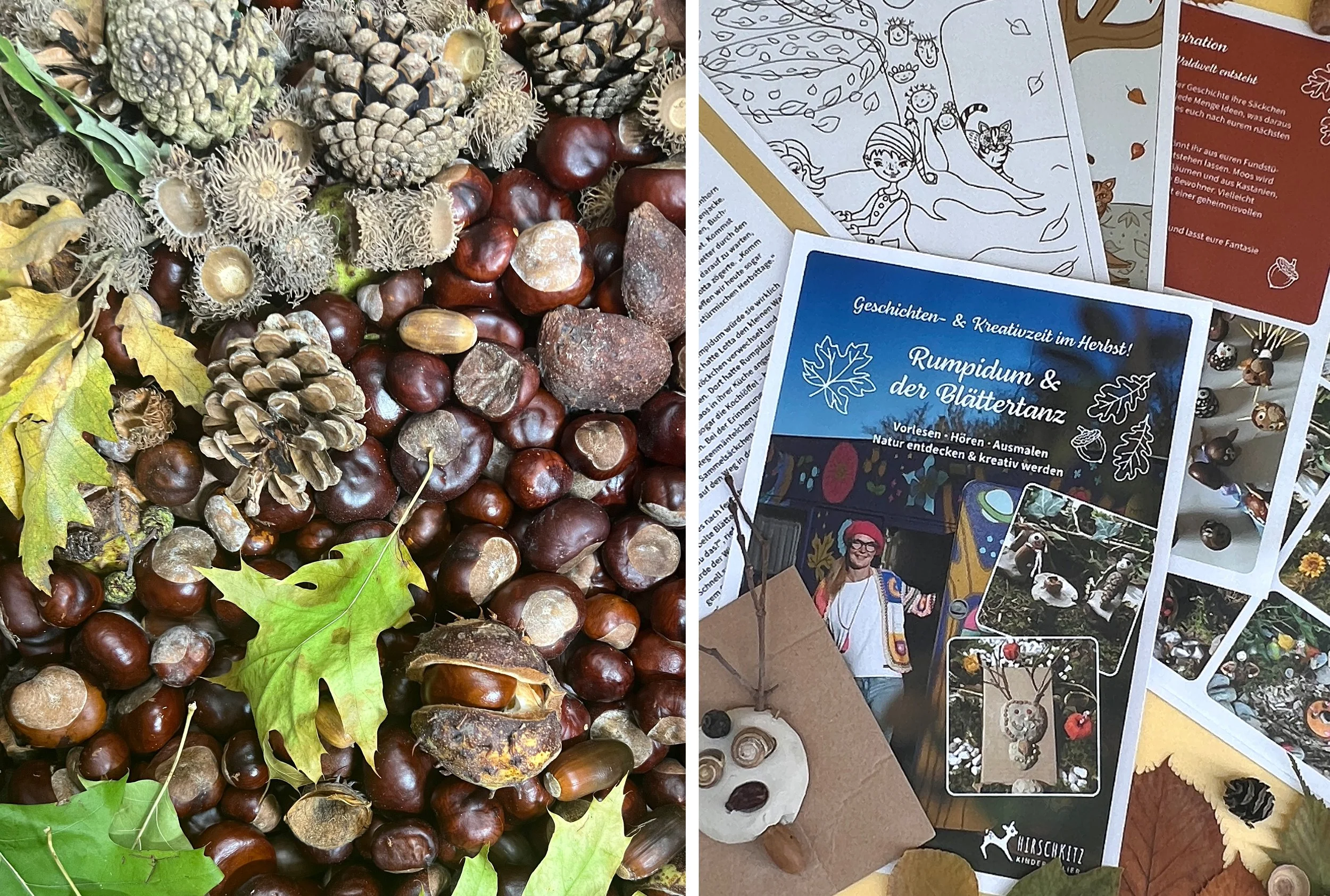 Herbstbasteln mit Naturmaterialien – kreative Ideen für gesammelte Waldschätze