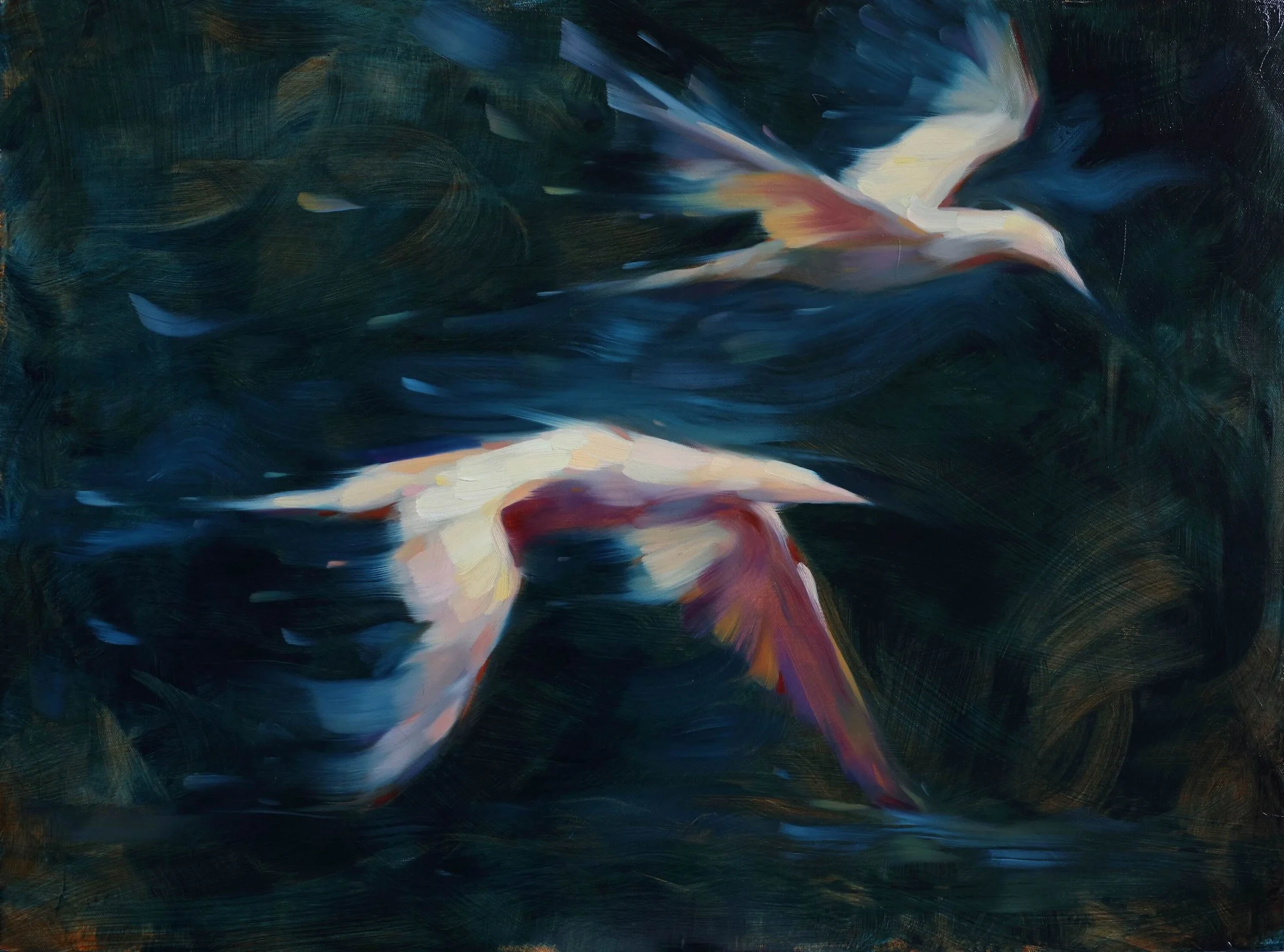61 x 80 cm - oil on linen