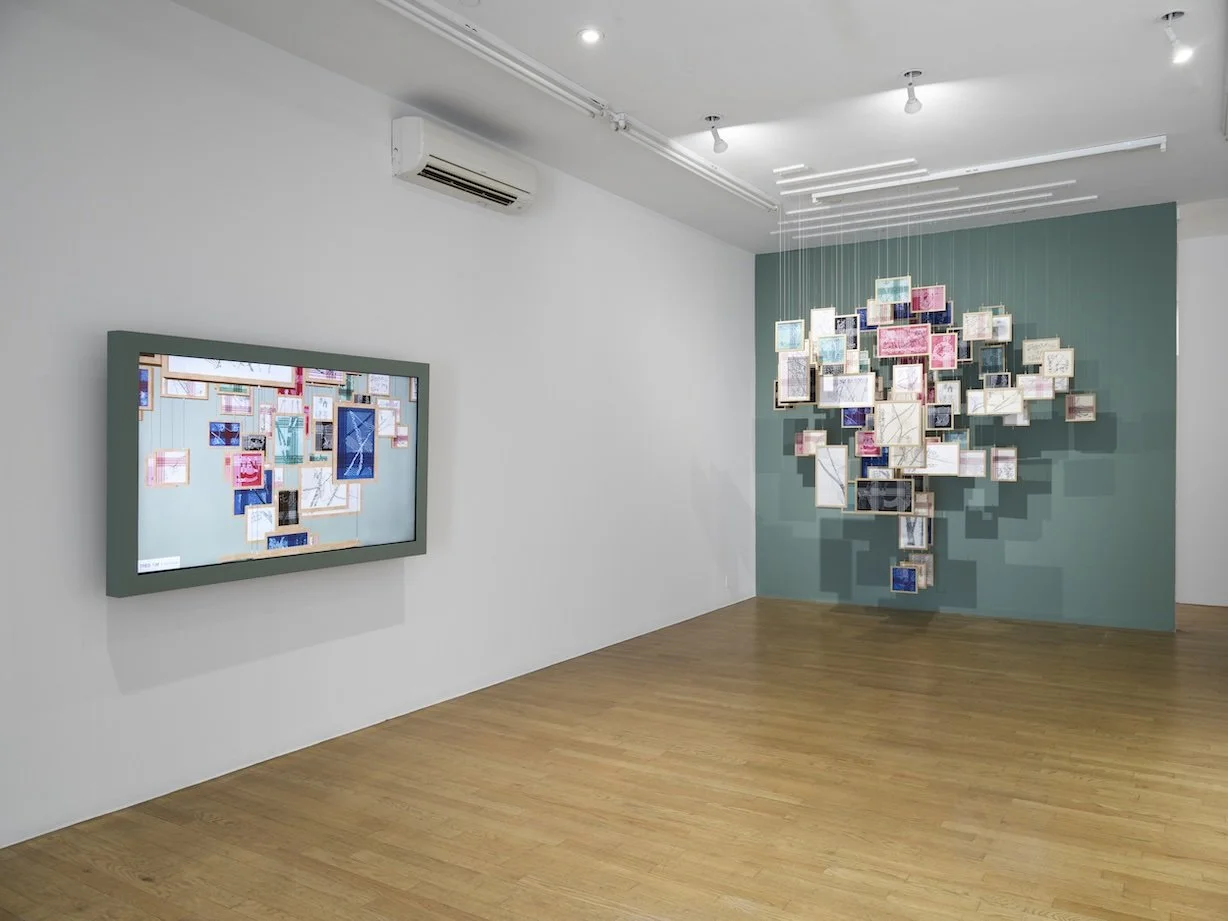 HIGHLIGHTED #6 – Zancan’s ‘Tree_Line’ at bitforms gallery