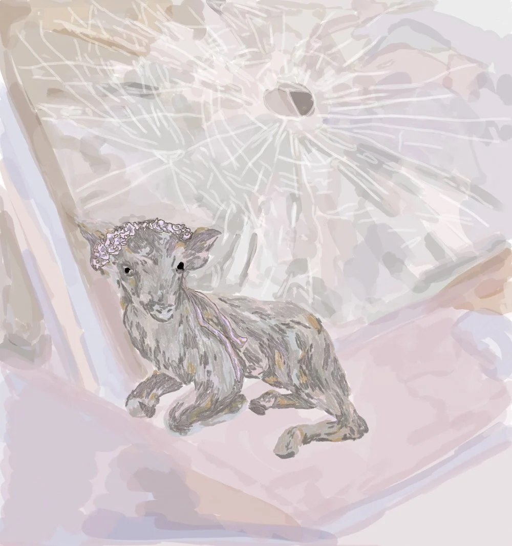 _Crazy like a lil´goat_ by HOLY.jpeg