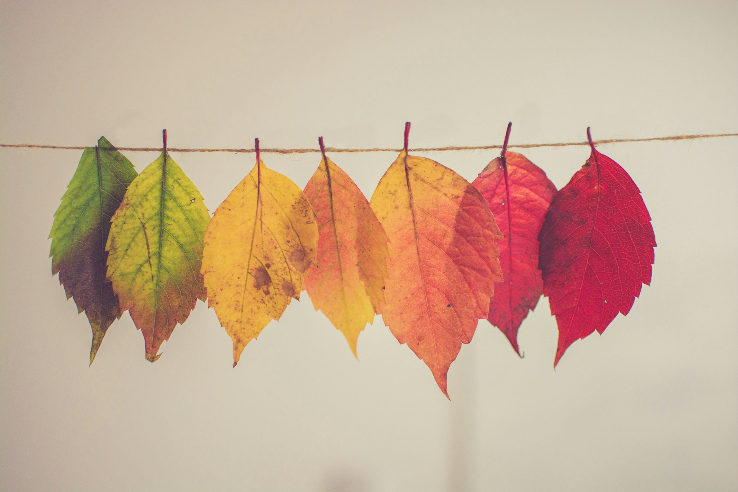 Rediscovering Yourself Through Life Transitions