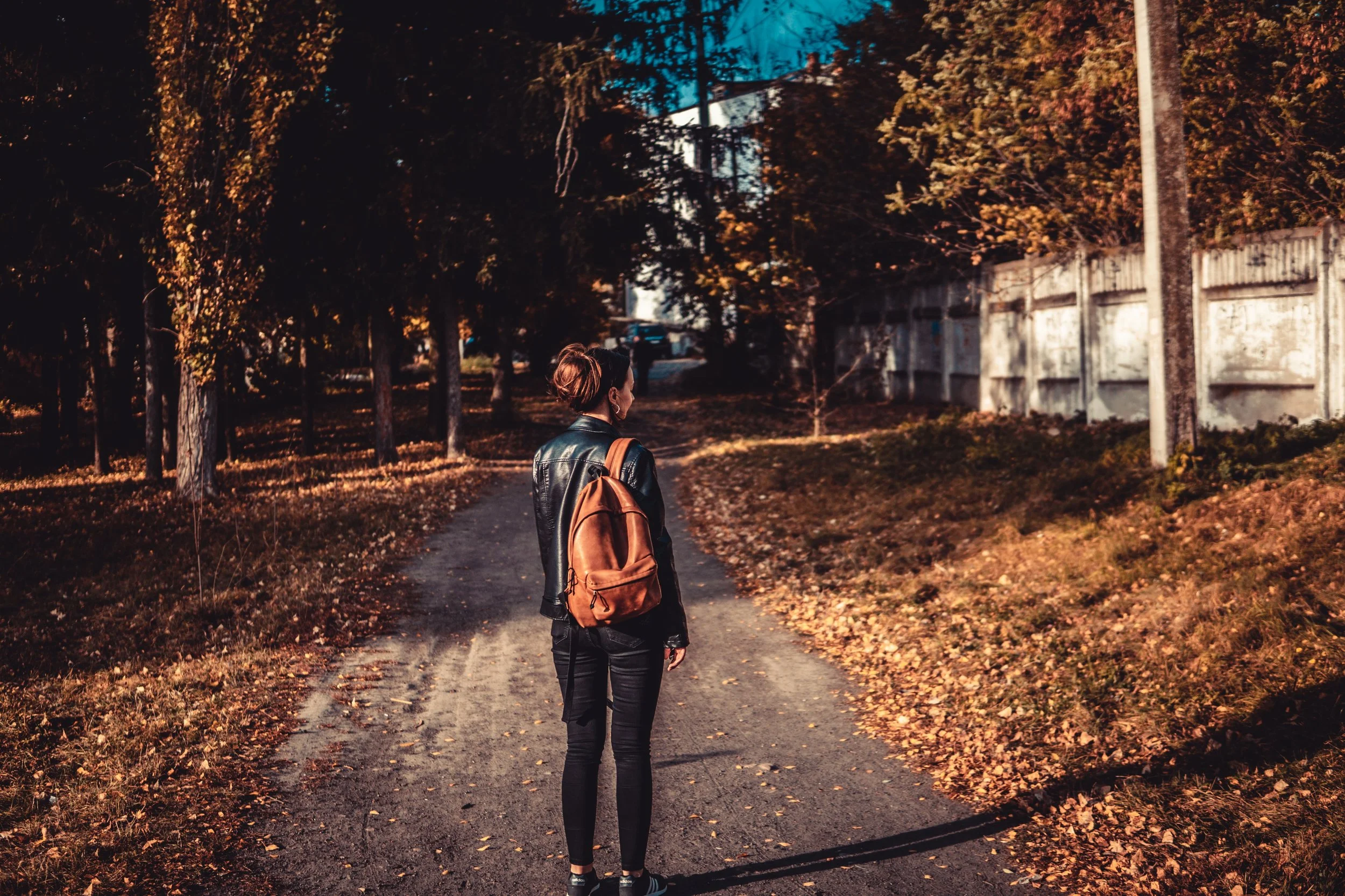 Transitioning Into Fall: How Virtual Therapy Can Support You
