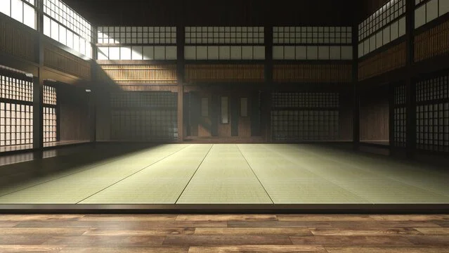 Judo and grappling