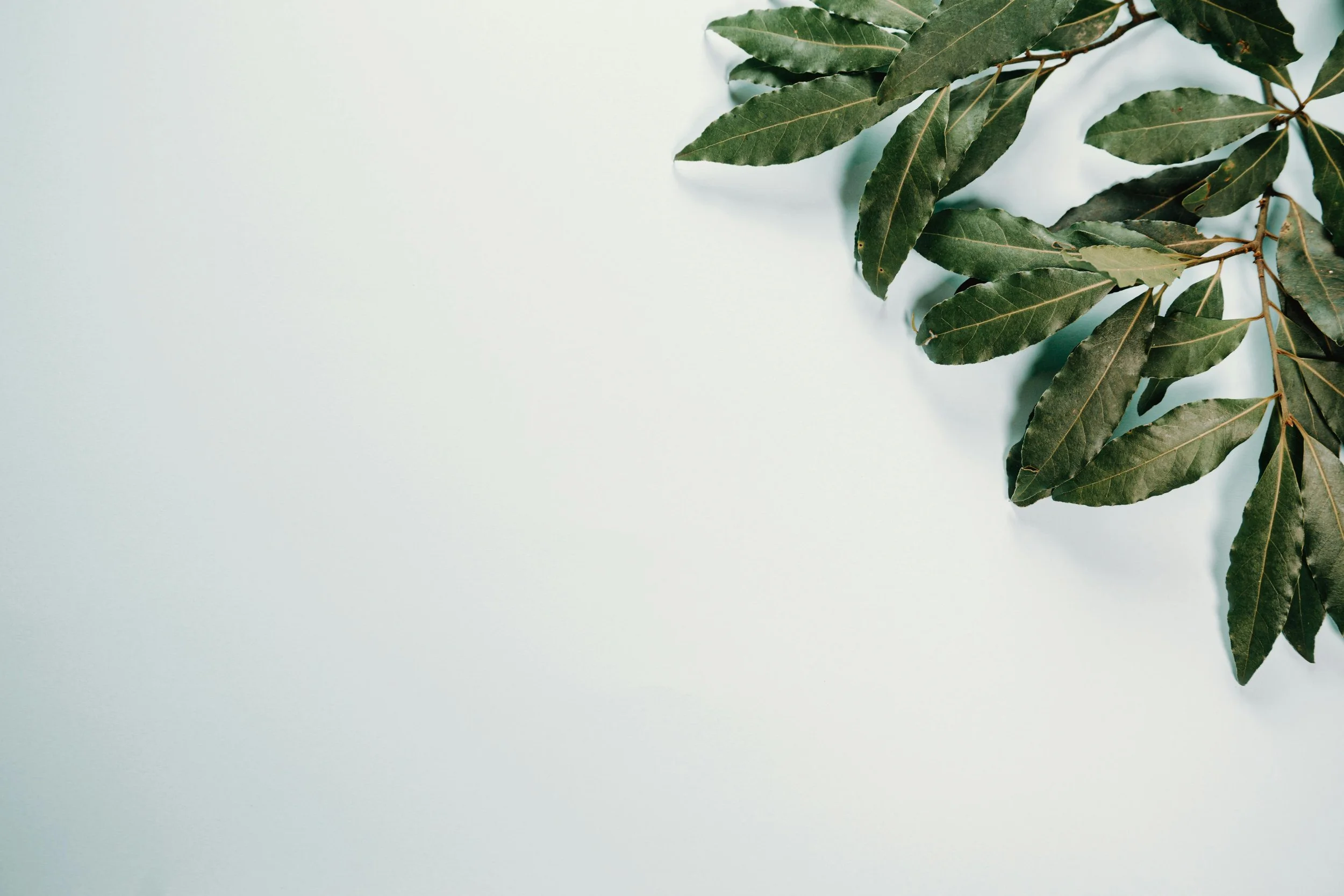 pexels-shotbyrain-5038388.jpg