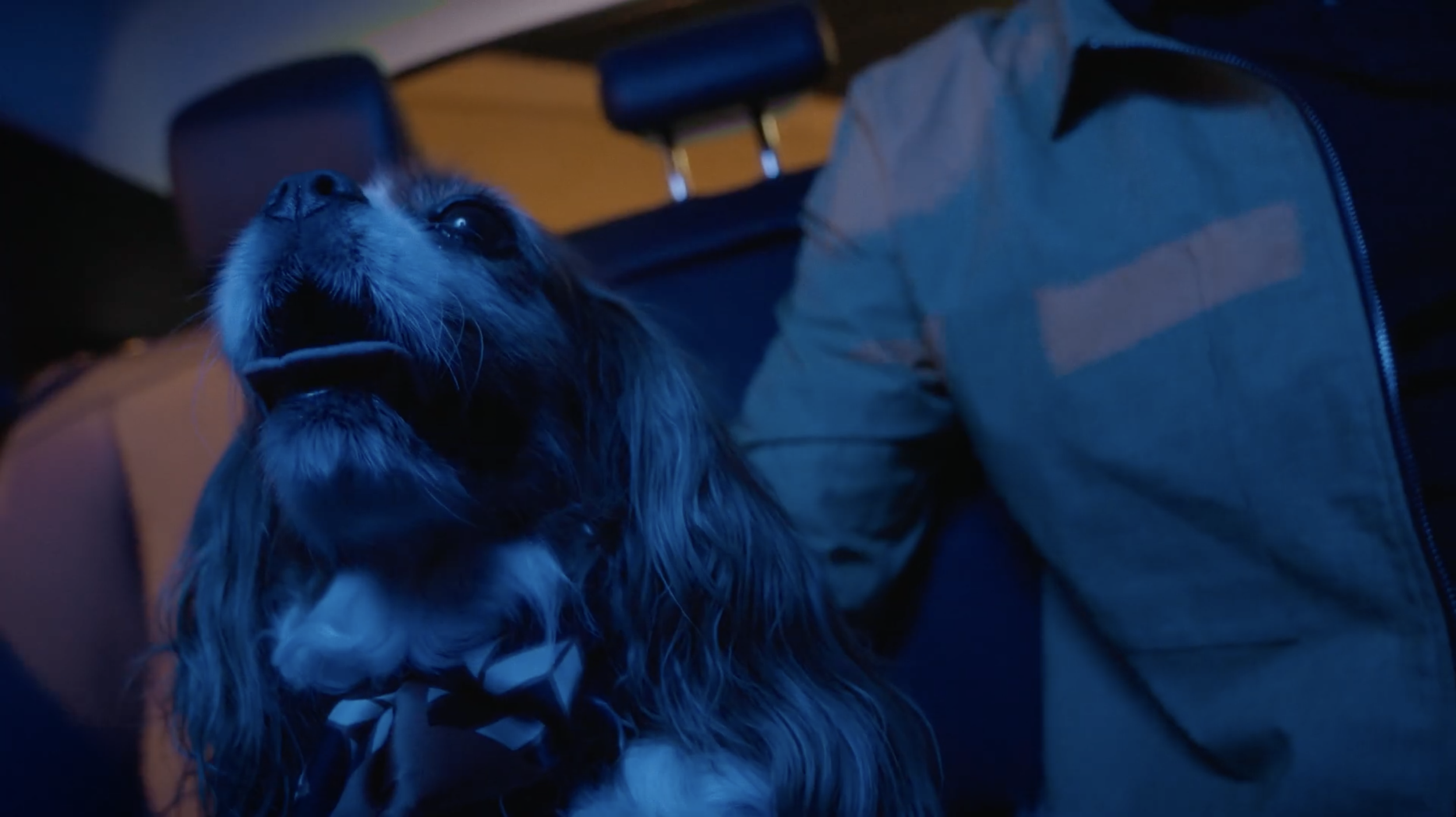 Screen Shot 2023-10-03 at 12.41.04 PM.png