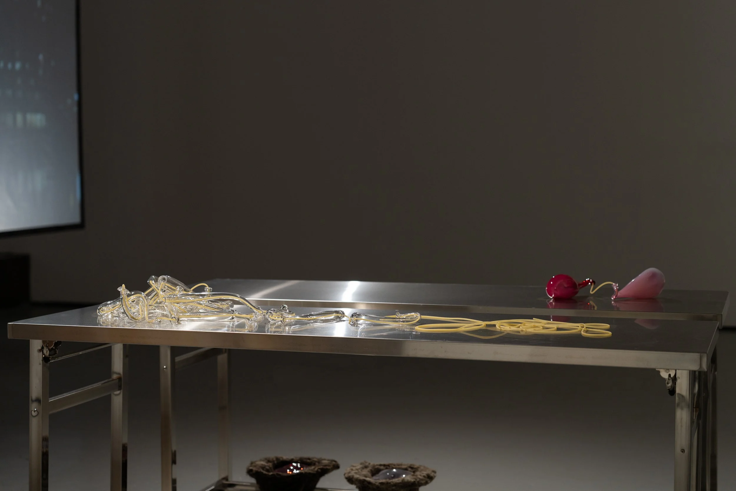 middlesbroughartweek_26_photo_racheldeakin-142.jpg