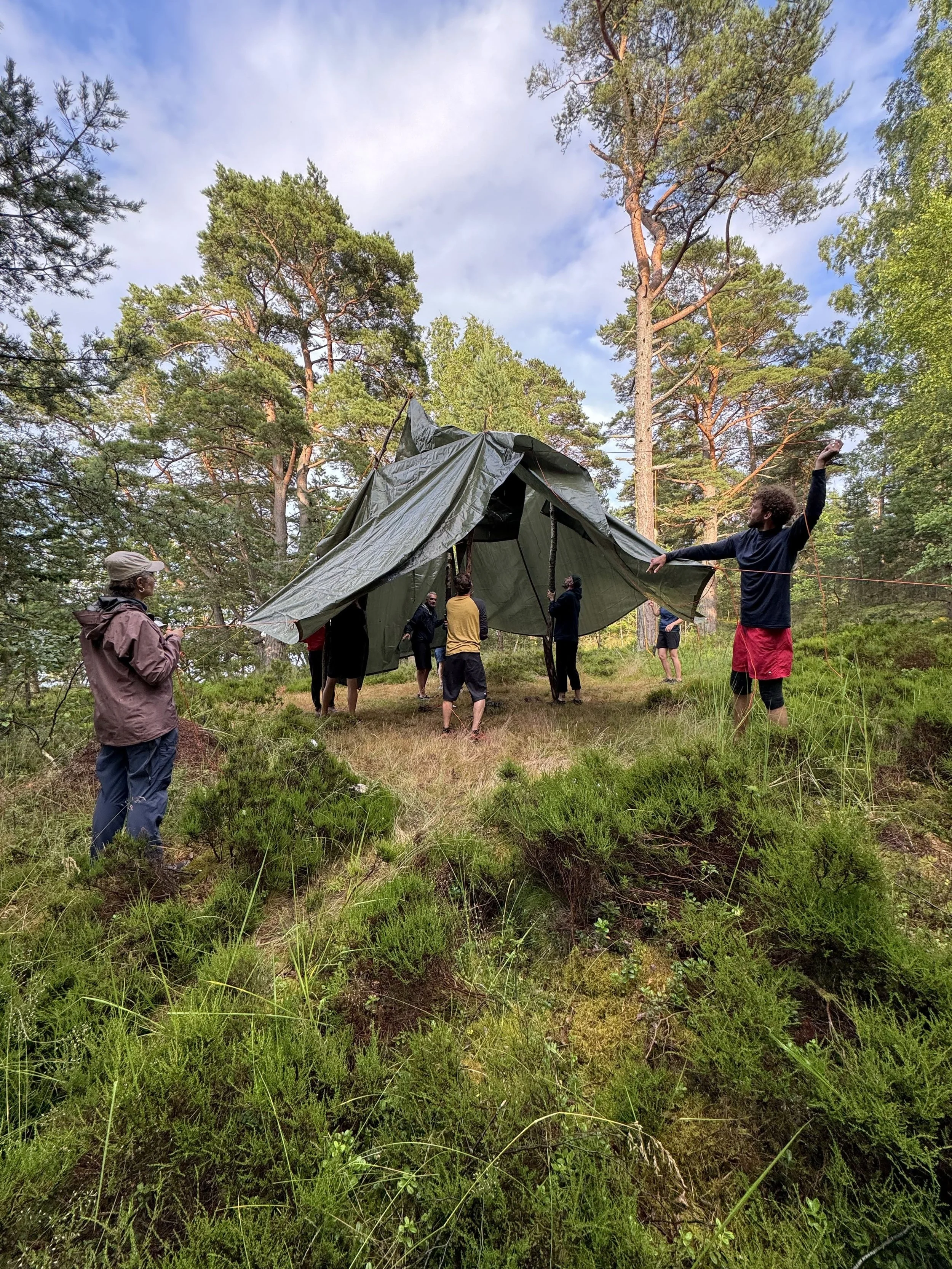 Menschen beim Aufbau eines Zeltes in einem Wald, einige ziehen an Seilen, um das Zelt zu stabilisieren.