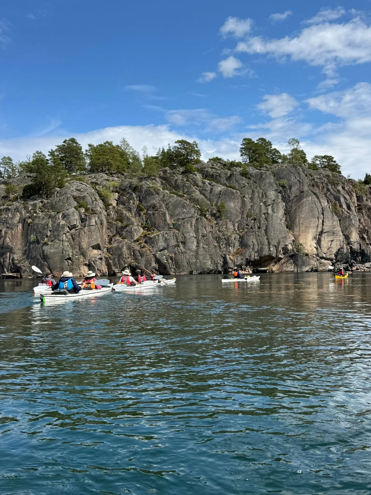 Menschen beim Kajakfahren auf dem Meer vor Felsen und Bäumen unter einem blauen Himmel.