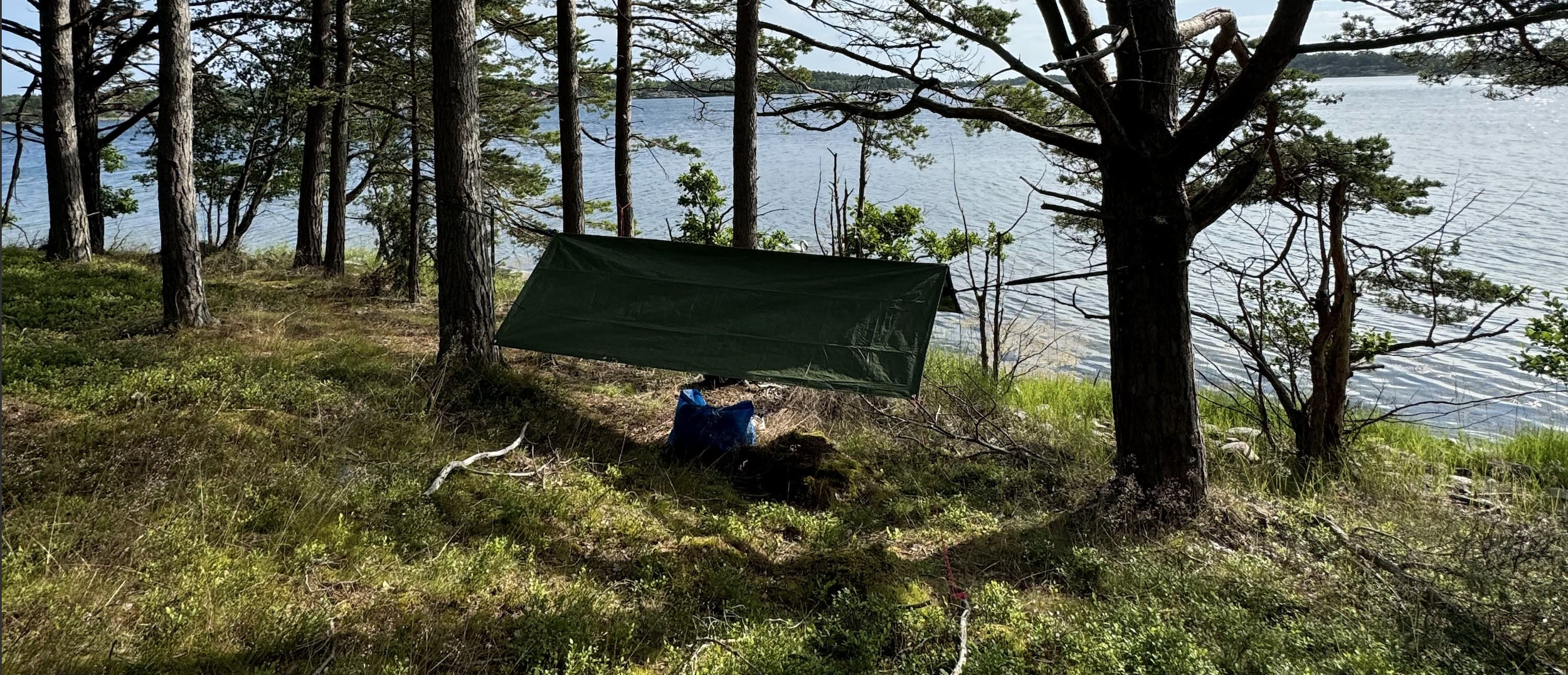 Ein Zeltdach in einem Waldgebiet am Ufer eines Meers, umgeben von Bäumen und Buschwerk, mit angespannter Schnur zum Abspannen.
