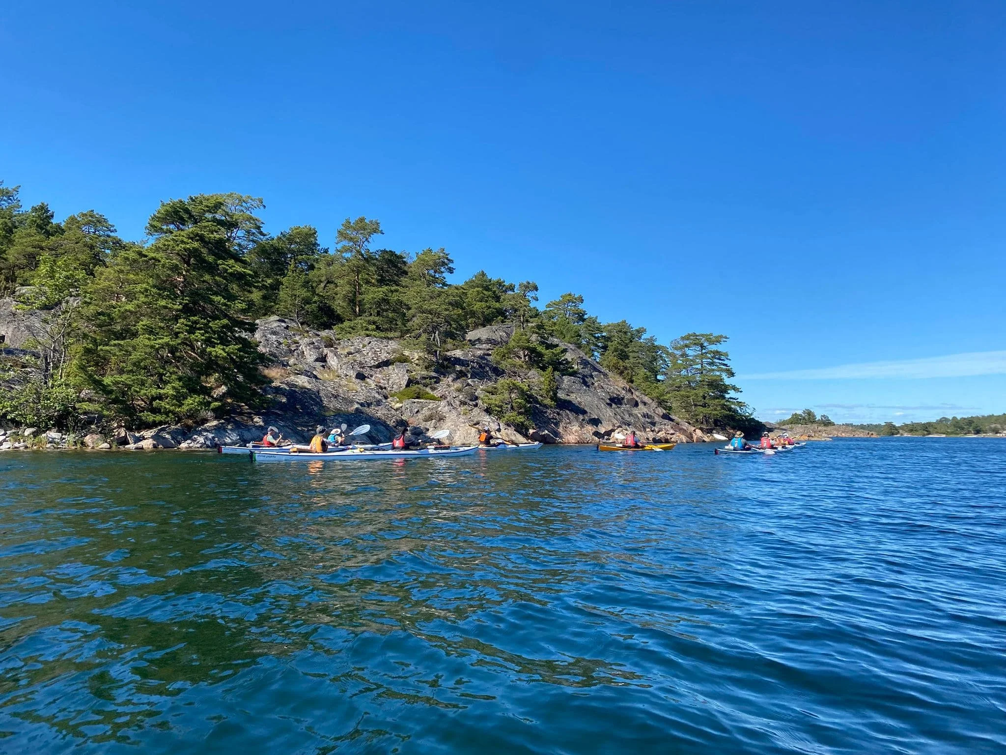 Mehrere Kajakfahrer paddeln auf einem ruhigen Gewässer entlang einer bewaldeten Küste bei sonnigem Himmel.