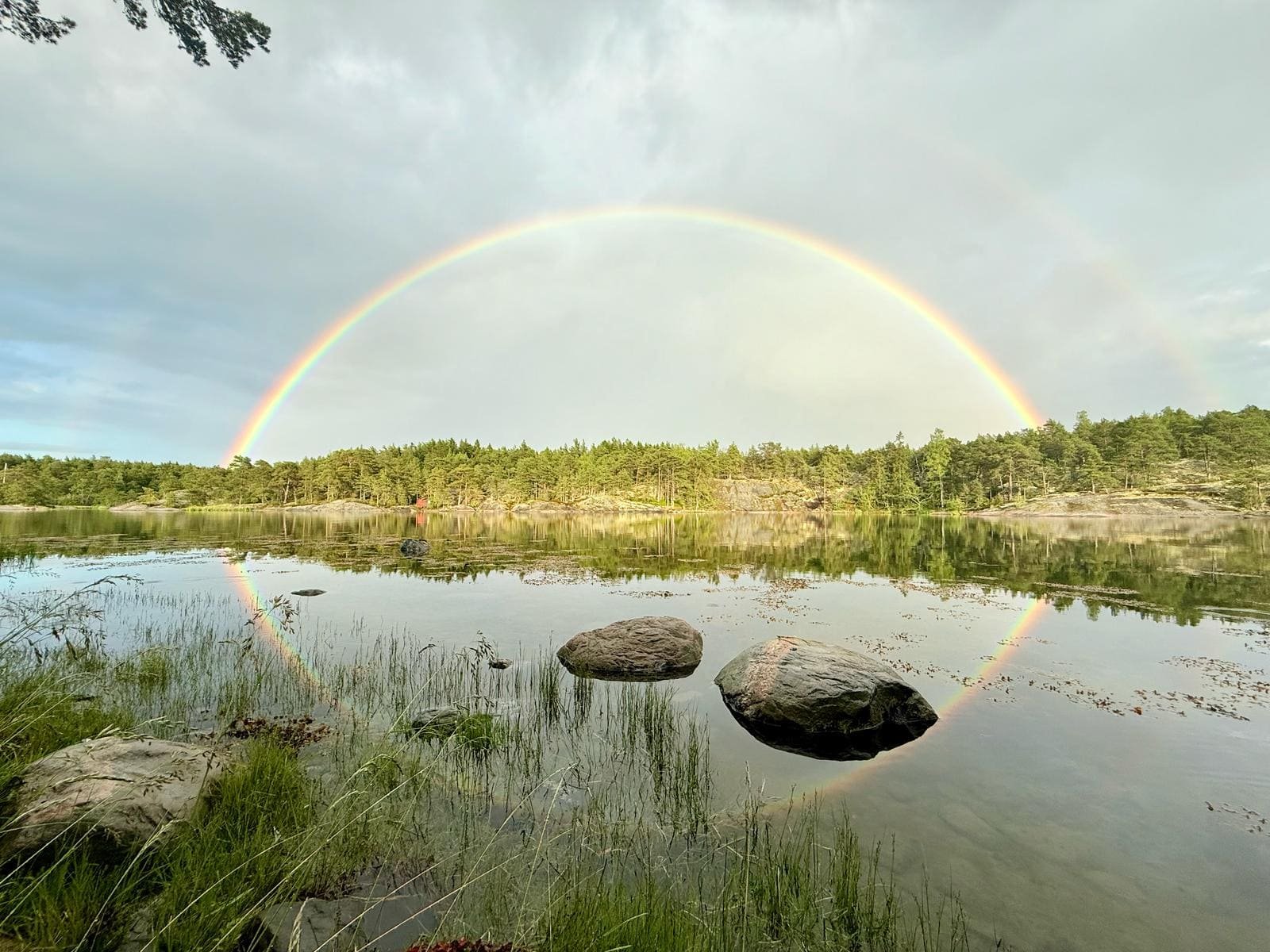 Ein Regenbogen spiegelt sich im ruhigen Wasser eines Sees, umgeben von grünem Gras und Felsen, mit einem bewölkten Himmel darüber und einem Baumgürtel am Horizont.