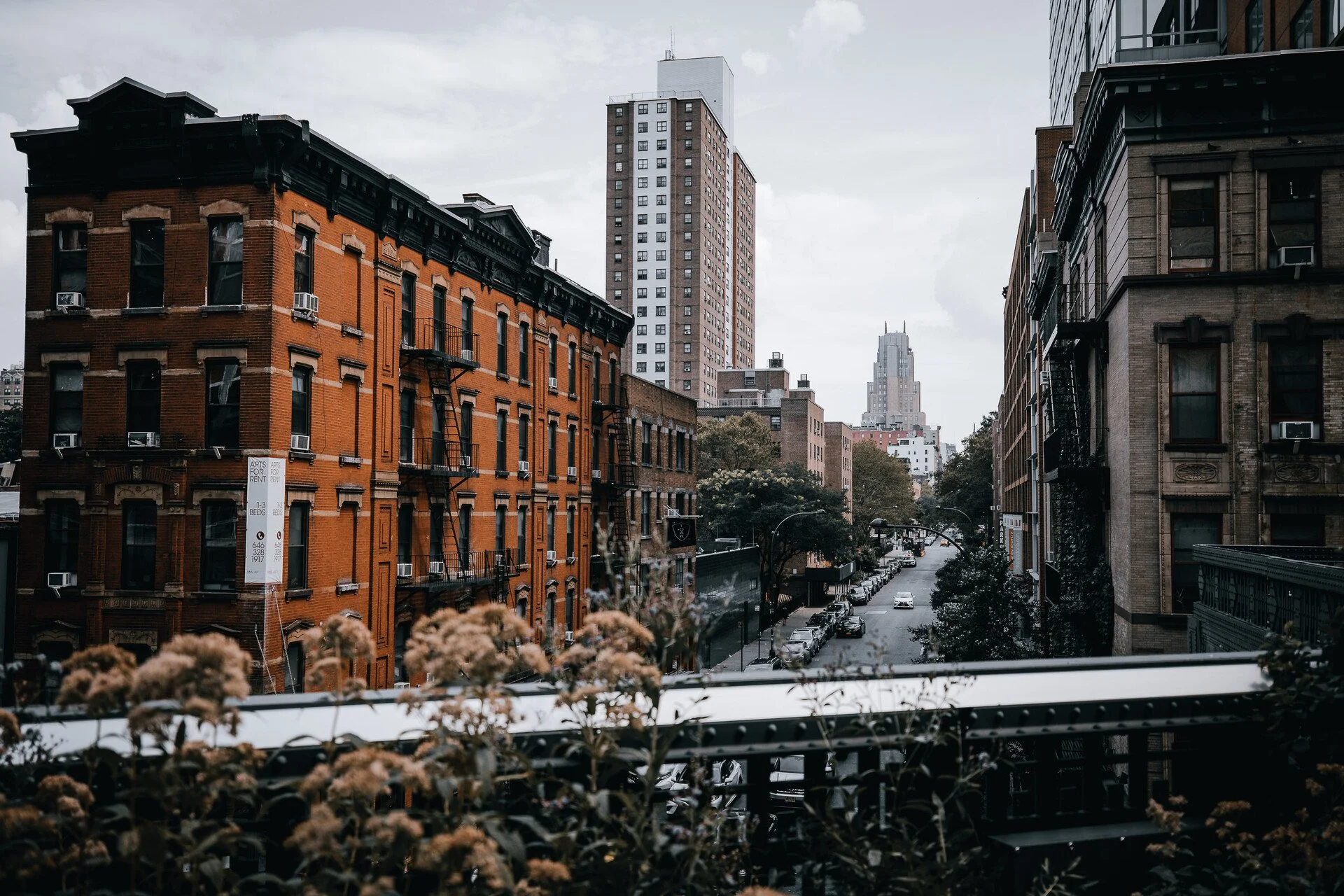 HIGH LINE - NYC 30.JPEG