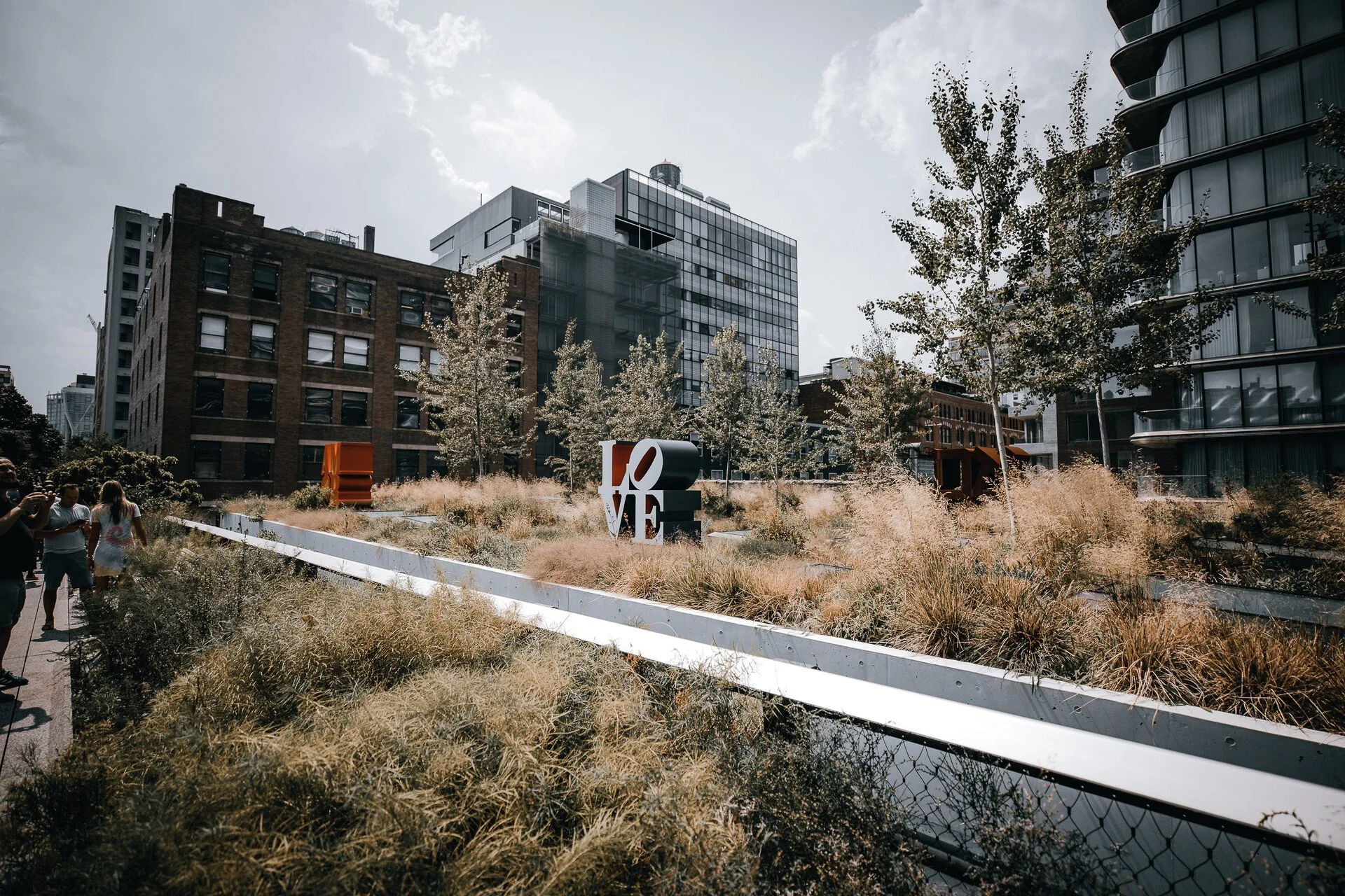 HIGH LINE - NYC 10.JPEG